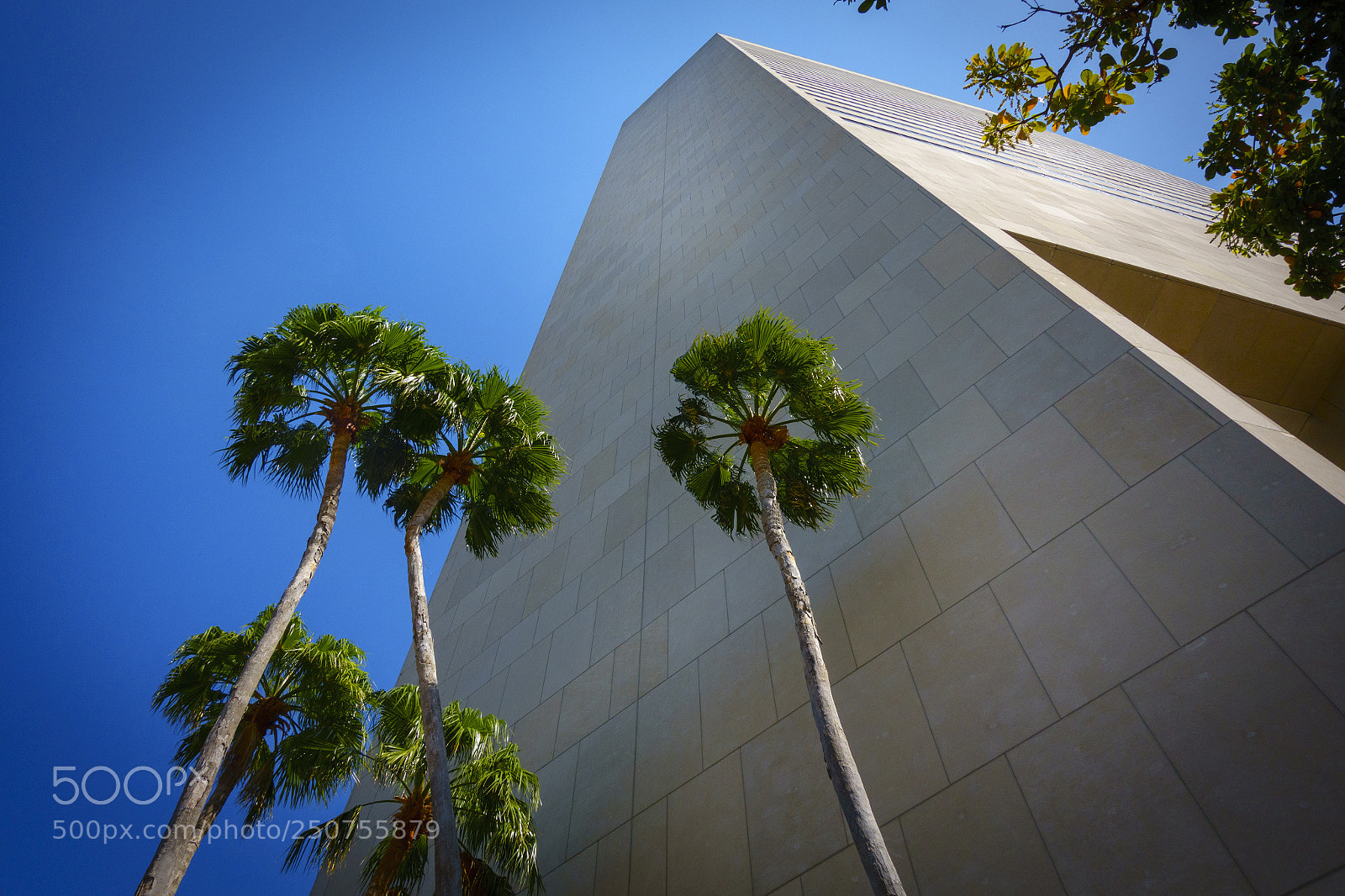Sony Cyber-shot DSC-RX100 IV sample photo. Stephen p clark center photography