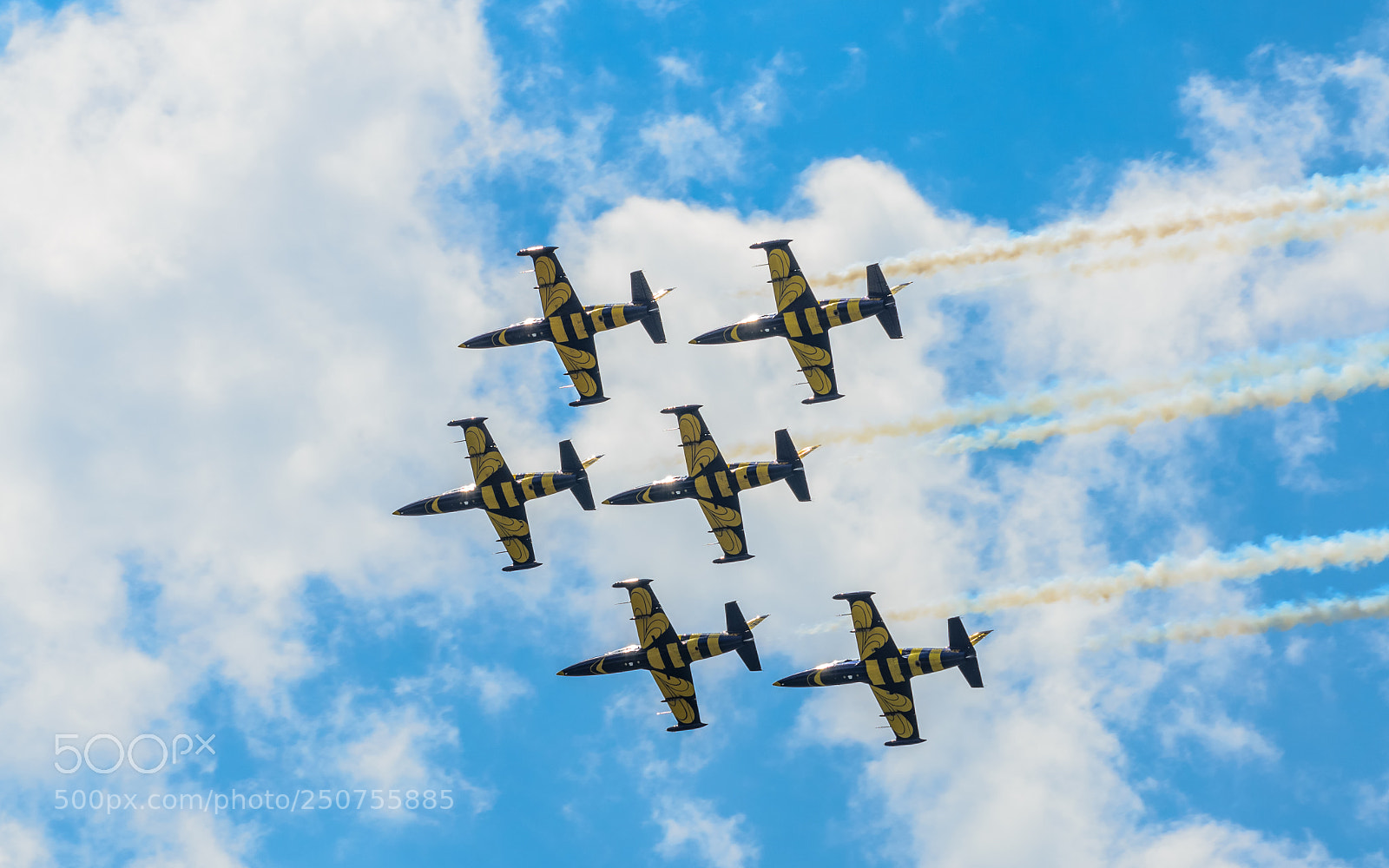 Nikon D7000 sample photo. Baltic bees show photography