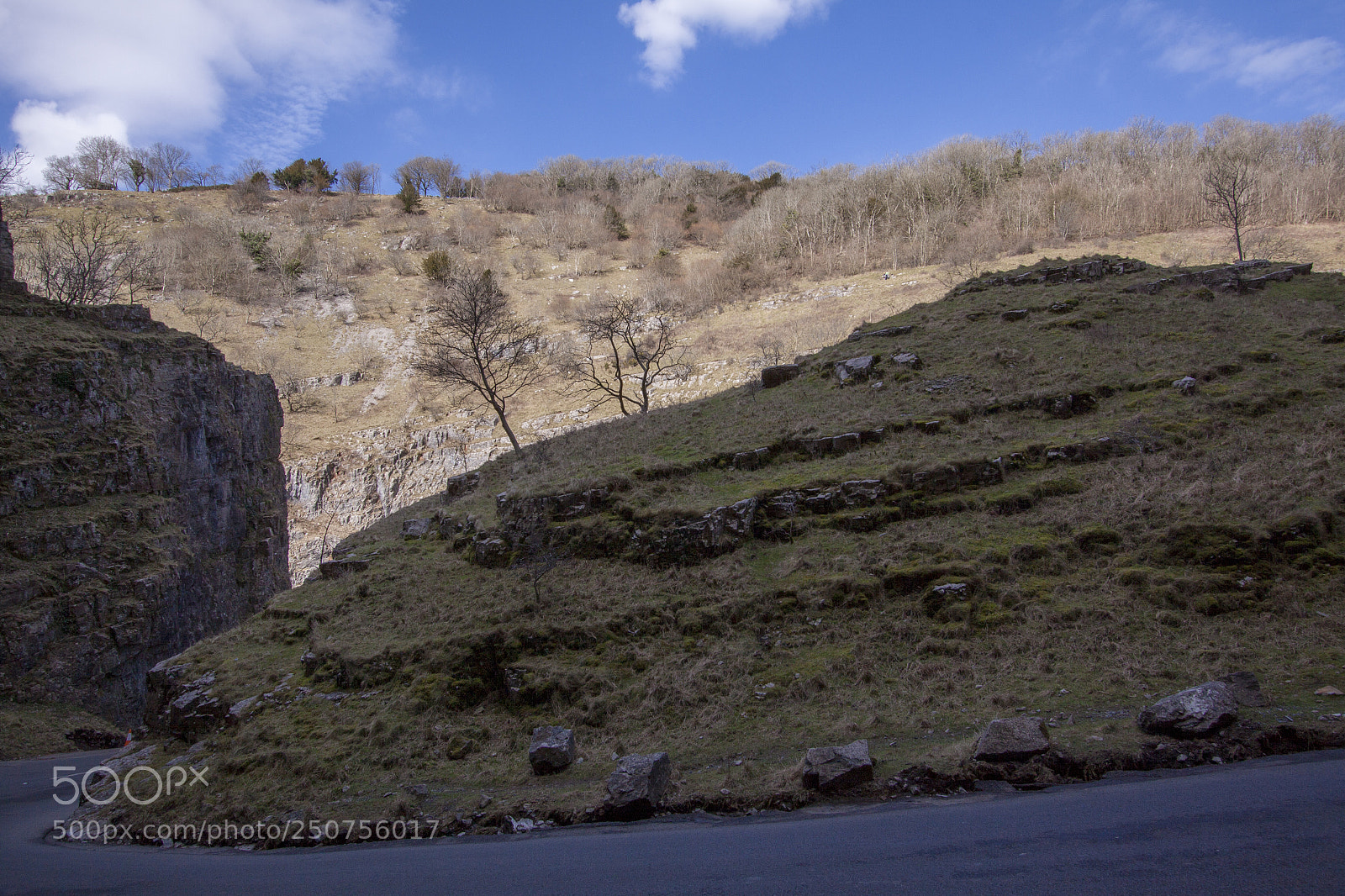 Canon EOS 50D sample photo. Cg 5 photography
