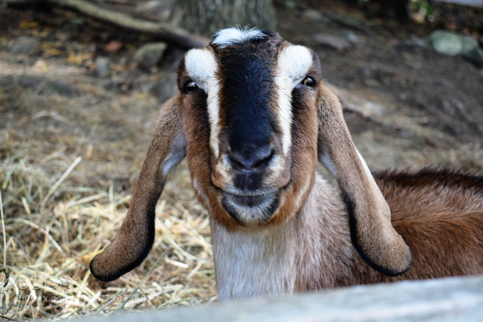 Nikon D3300 sample photo. Hi there! photography
