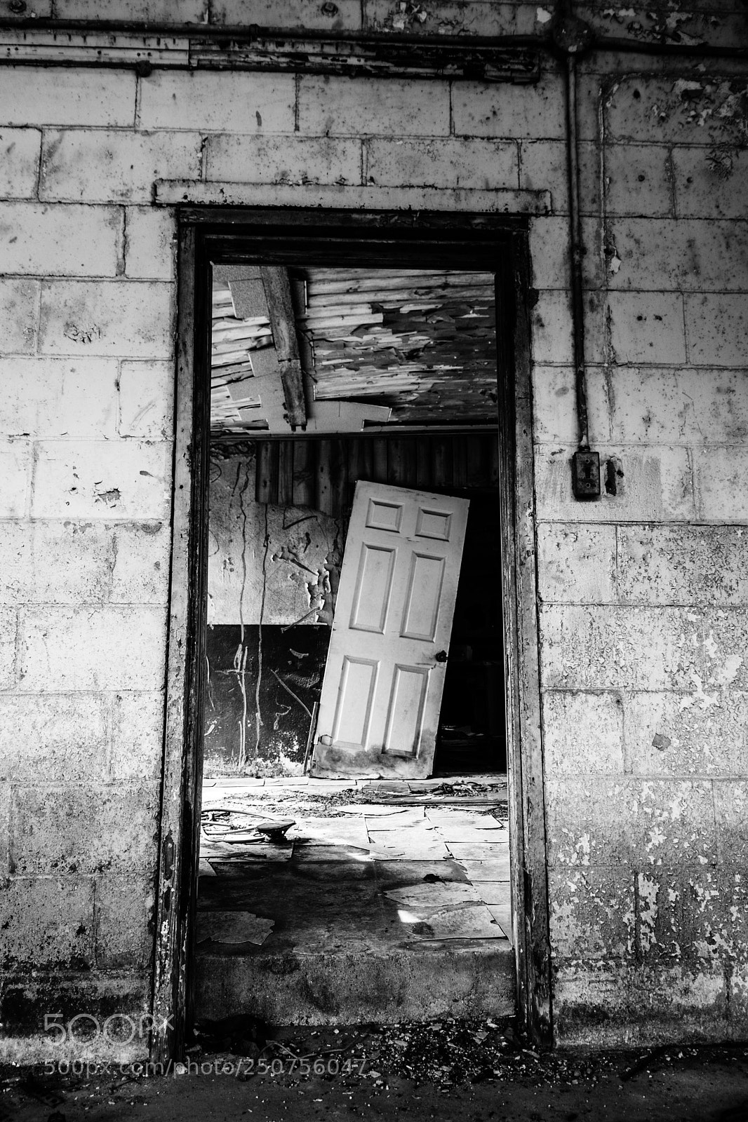 Nikon D7100 sample photo. Walk through photography