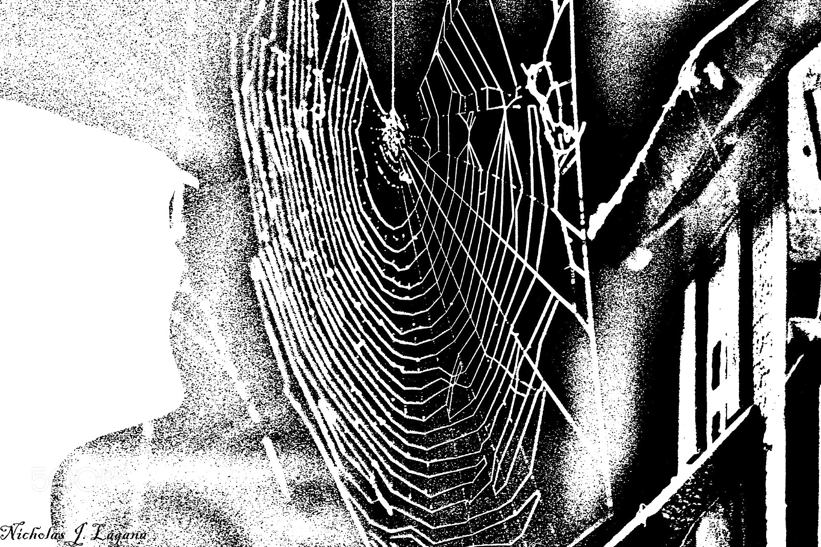 Canon EOS 1300D (EOS Rebel T6 / EOS Kiss X80) sample photo. Spider web photography