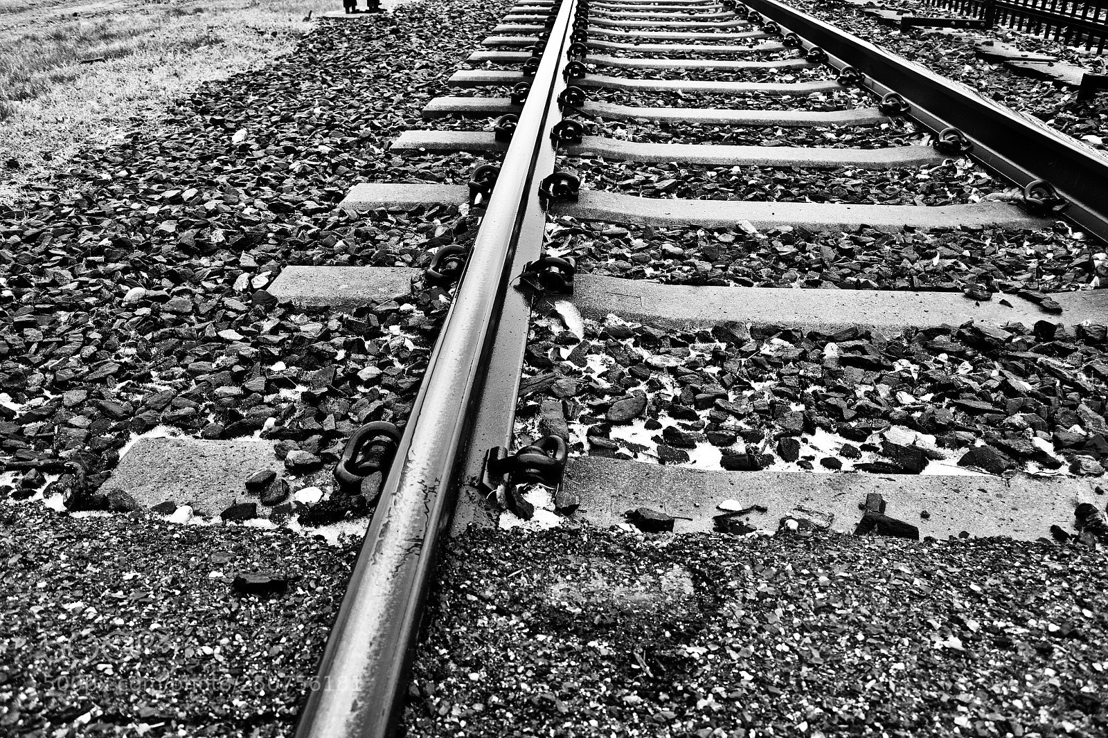 Nikon D3100 sample photo. Tracks (ii) photography