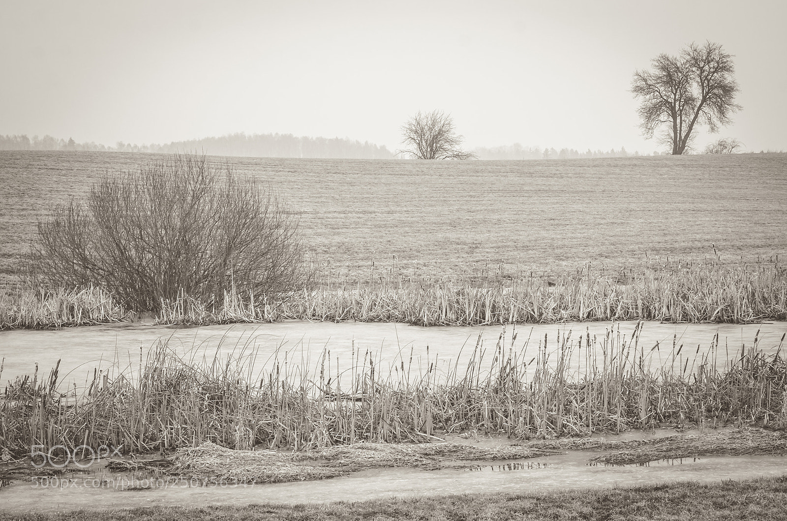 Nikon D7000 sample photo. Fields of garzewko. warmia. photography