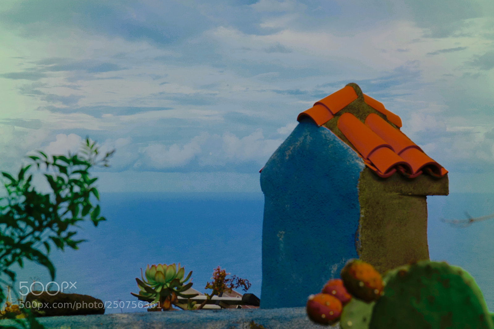 Sony a7R sample photo. La palma, relax time photography
