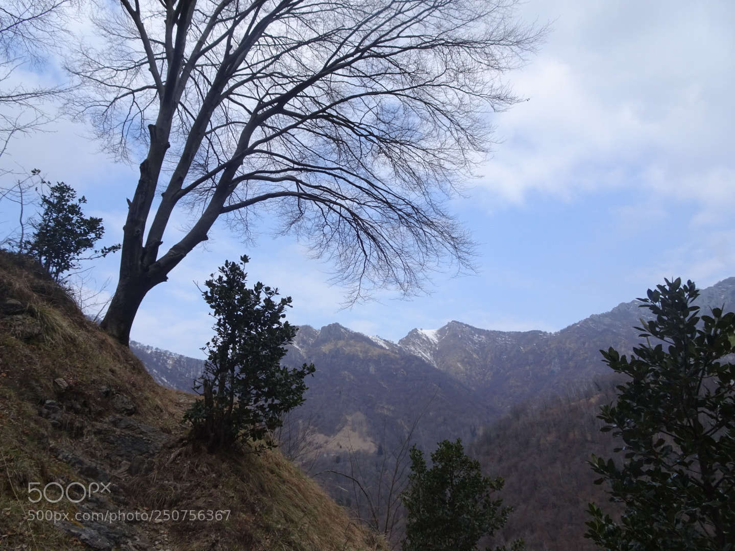 Sony Cyber-shot DSC-HX80 sample photo. Untitled photography