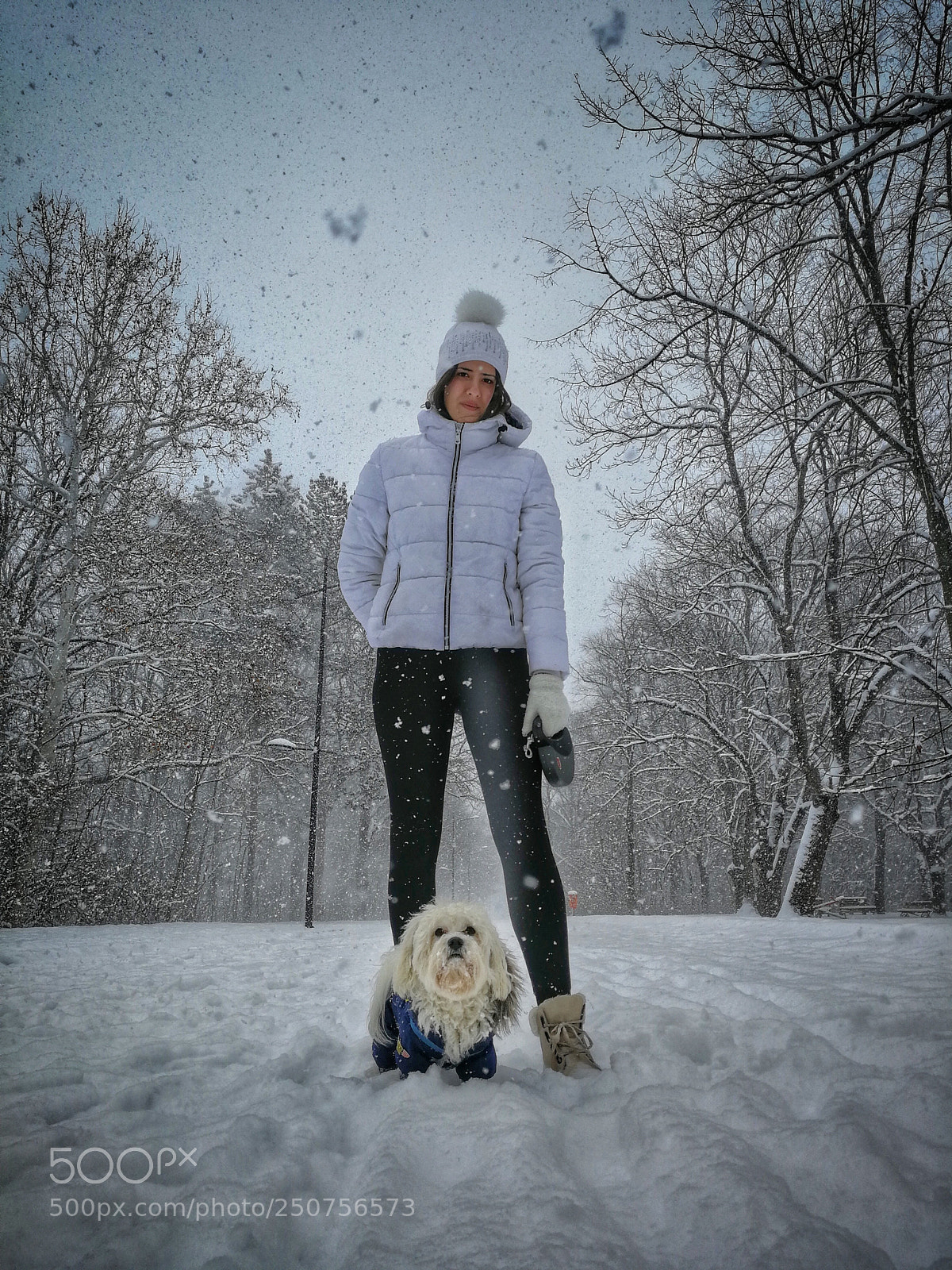 HUAWEI P10 sample photo. Winter photography