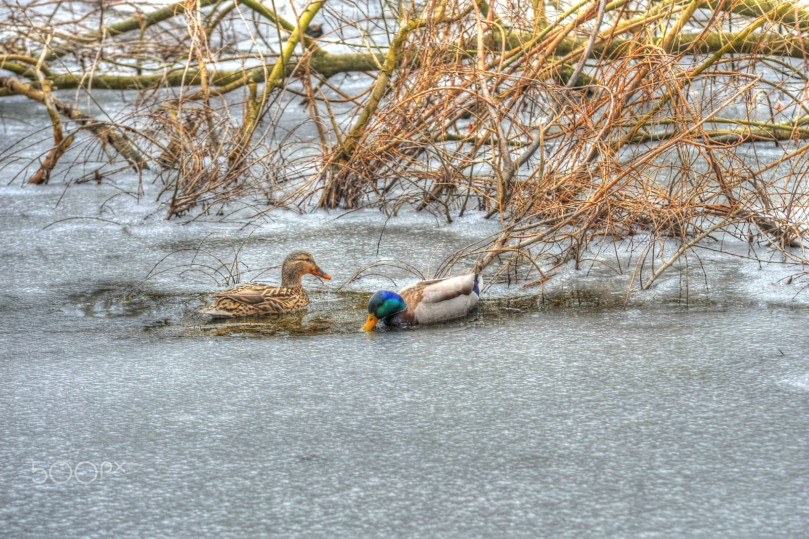 Nikon D700 sample photo. Here is the beach time! photography