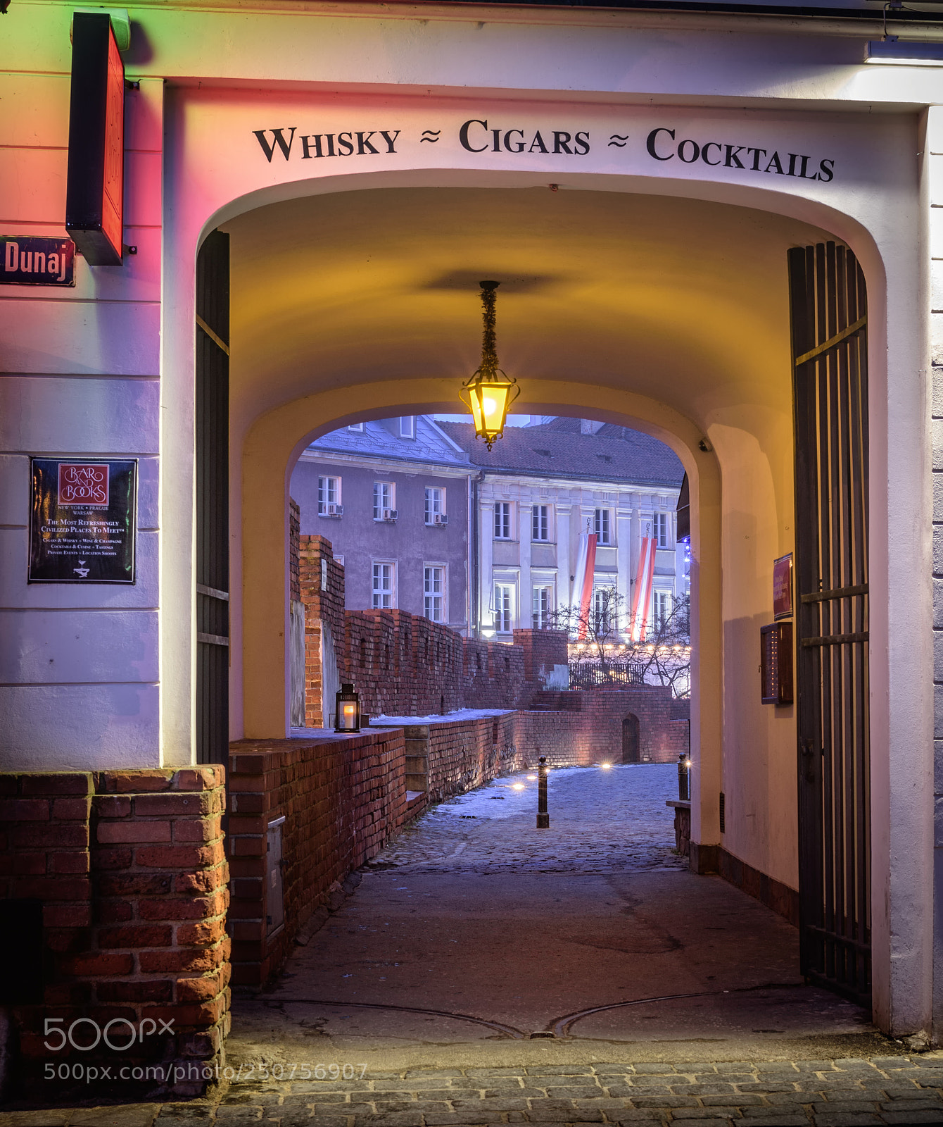 Nikon D7200 sample photo. Barfly photography