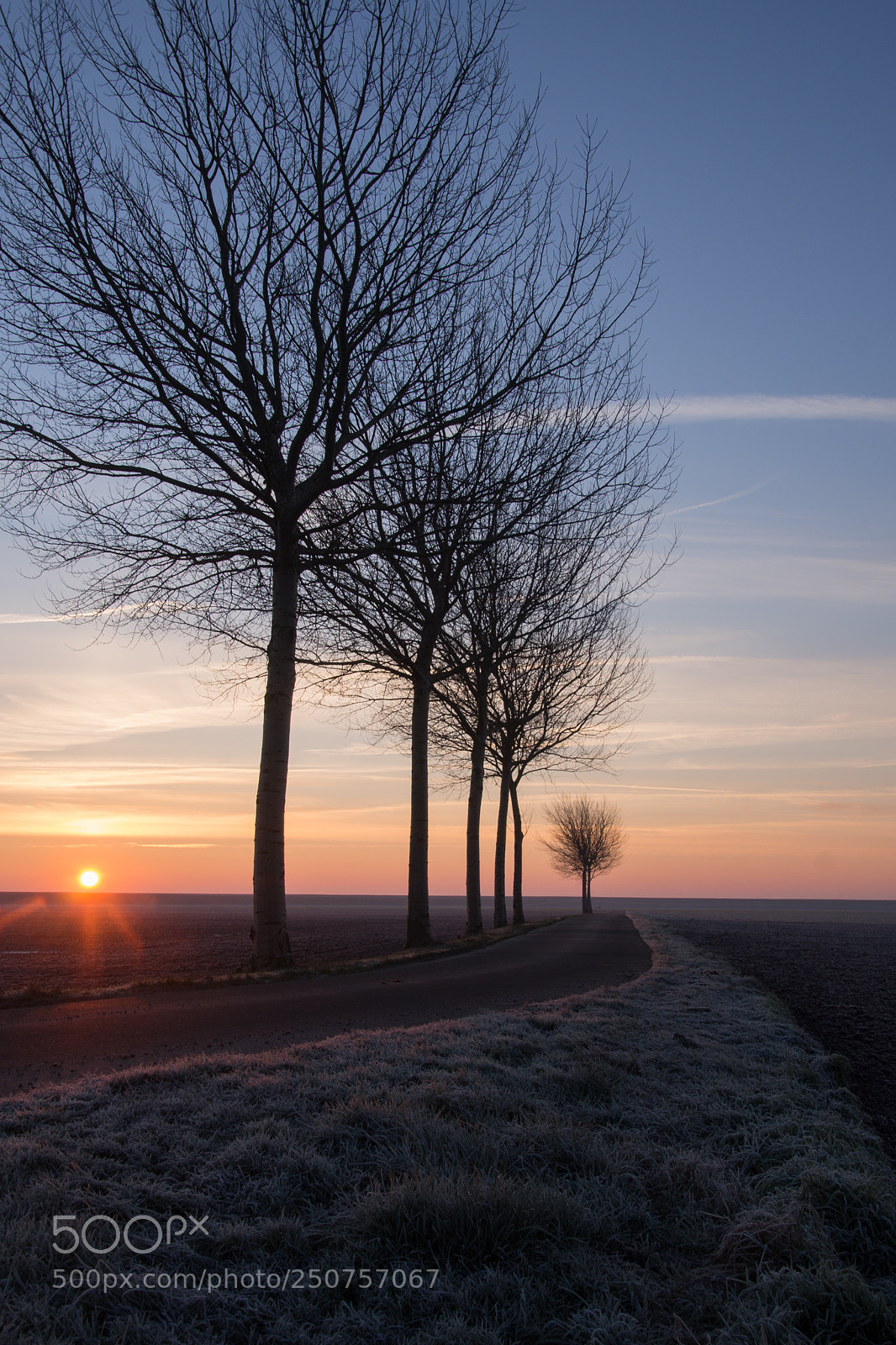 Sony SLT-A99V sample photo. The road photography