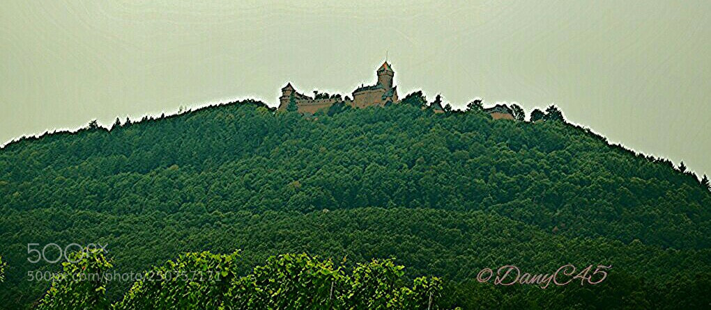 Nikon D5100 sample photo. Alsace (19) photography