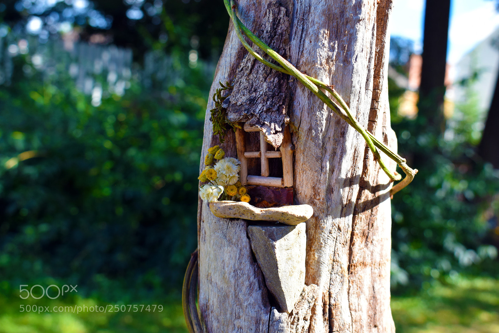 Nikon D3300 sample photo. Fairy window photography