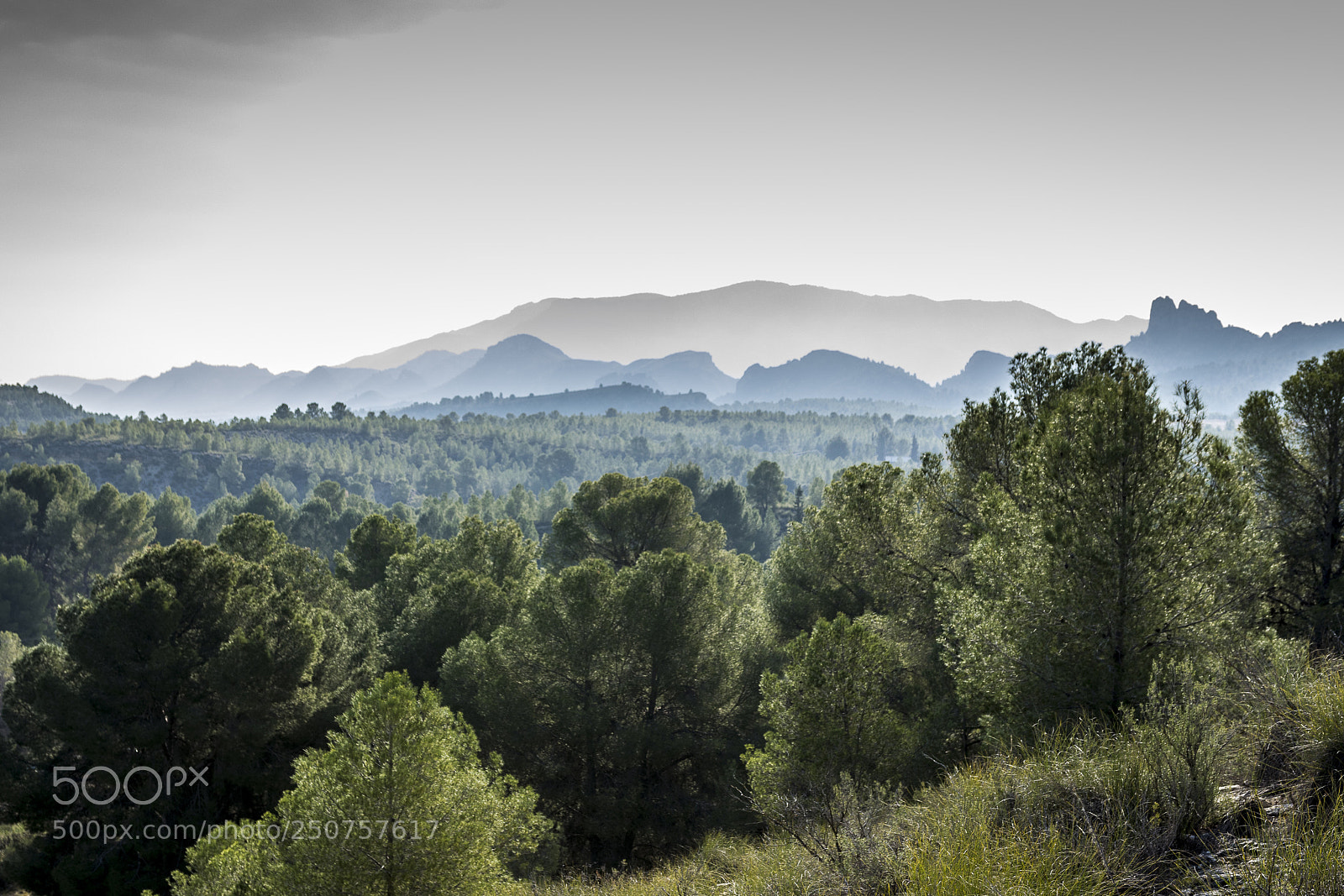 Nikon D5300 sample photo. Horizonte  photography