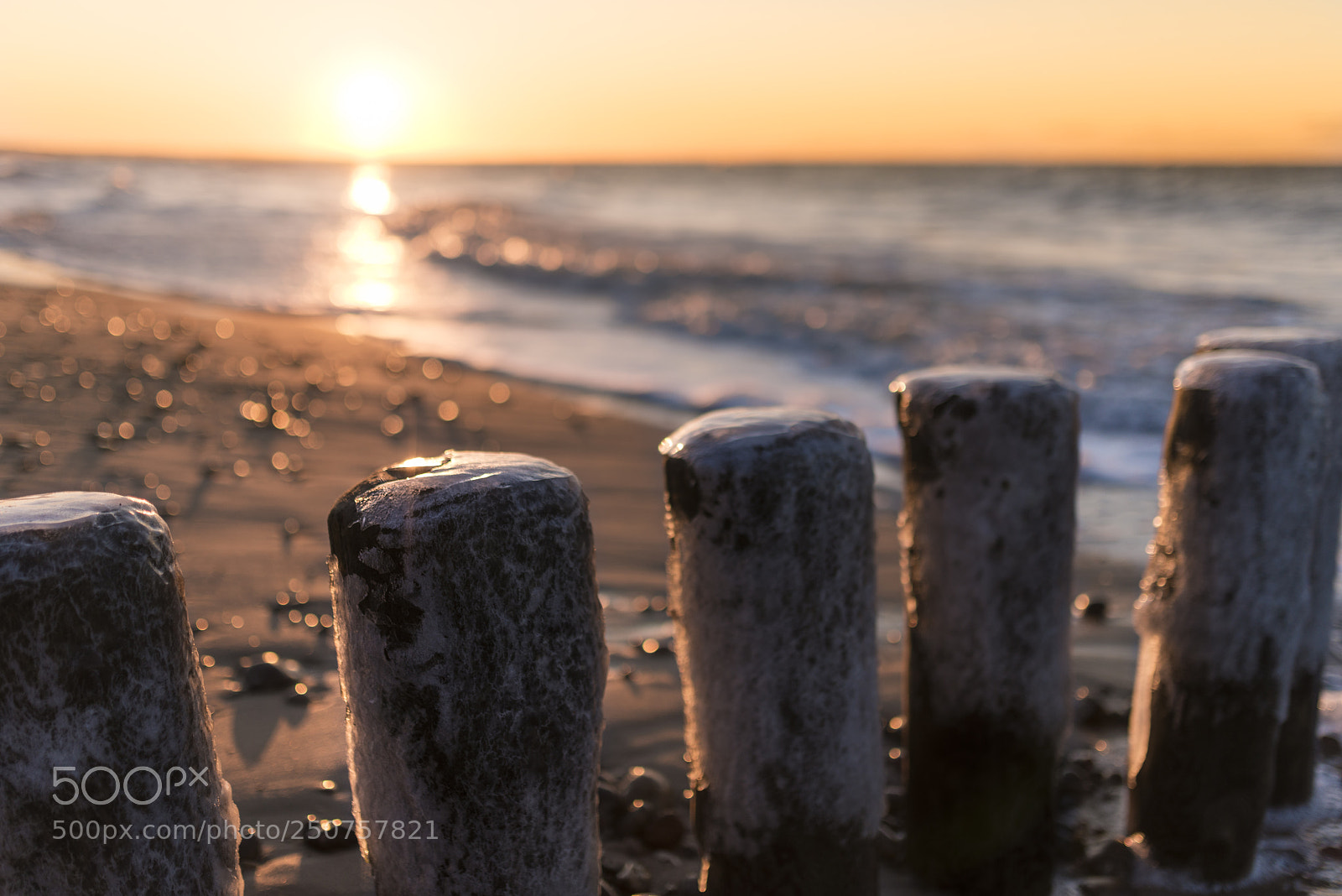 Nikon D800 sample photo. Cold sunset photography