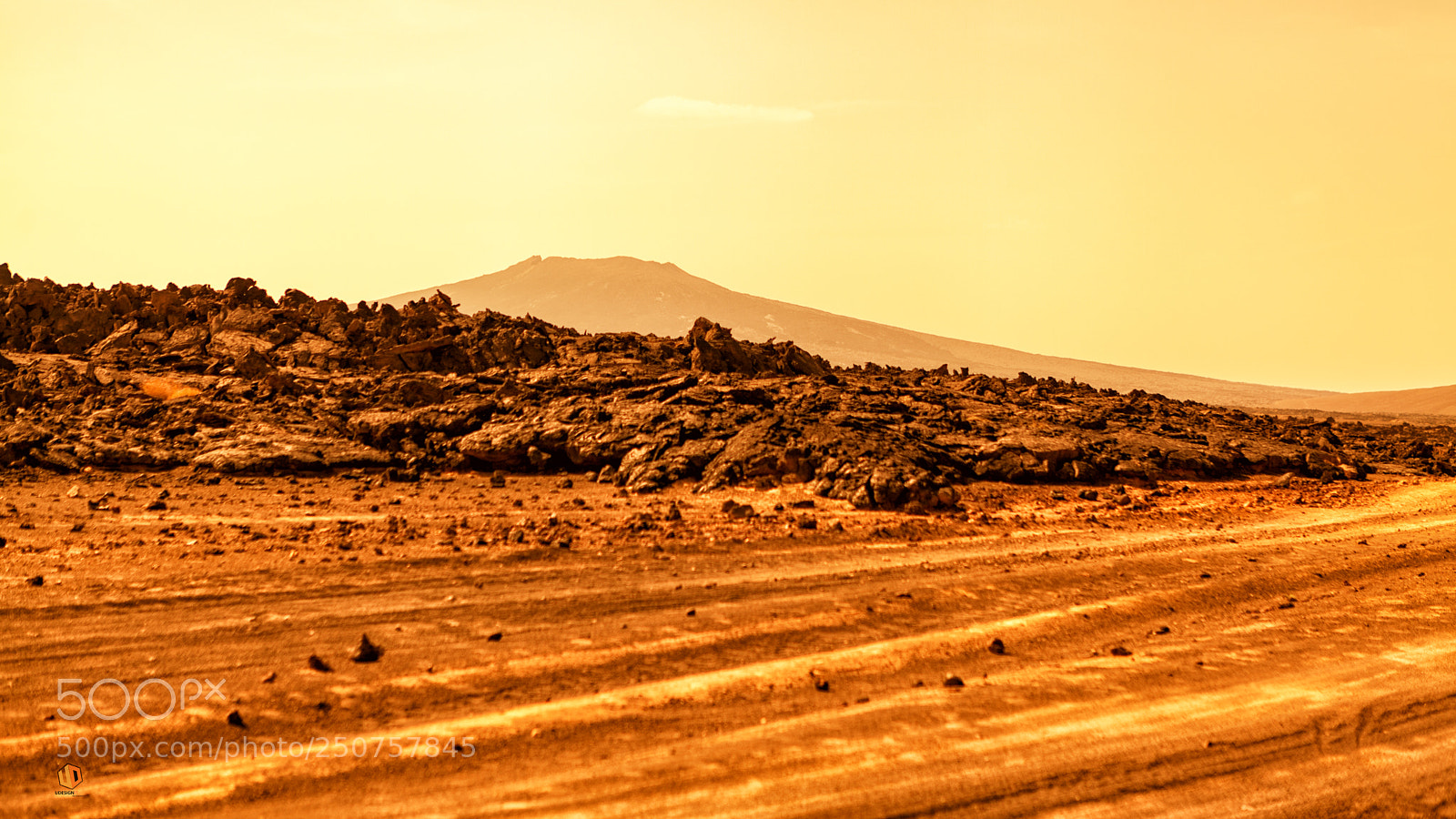 Canon EOS 5D Mark II sample photo. Reality of a desertscape photography