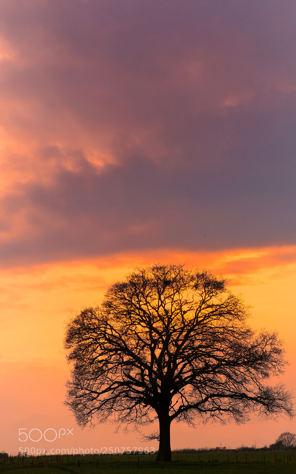 Canon EOS 5D sample photo. Silhouette photography