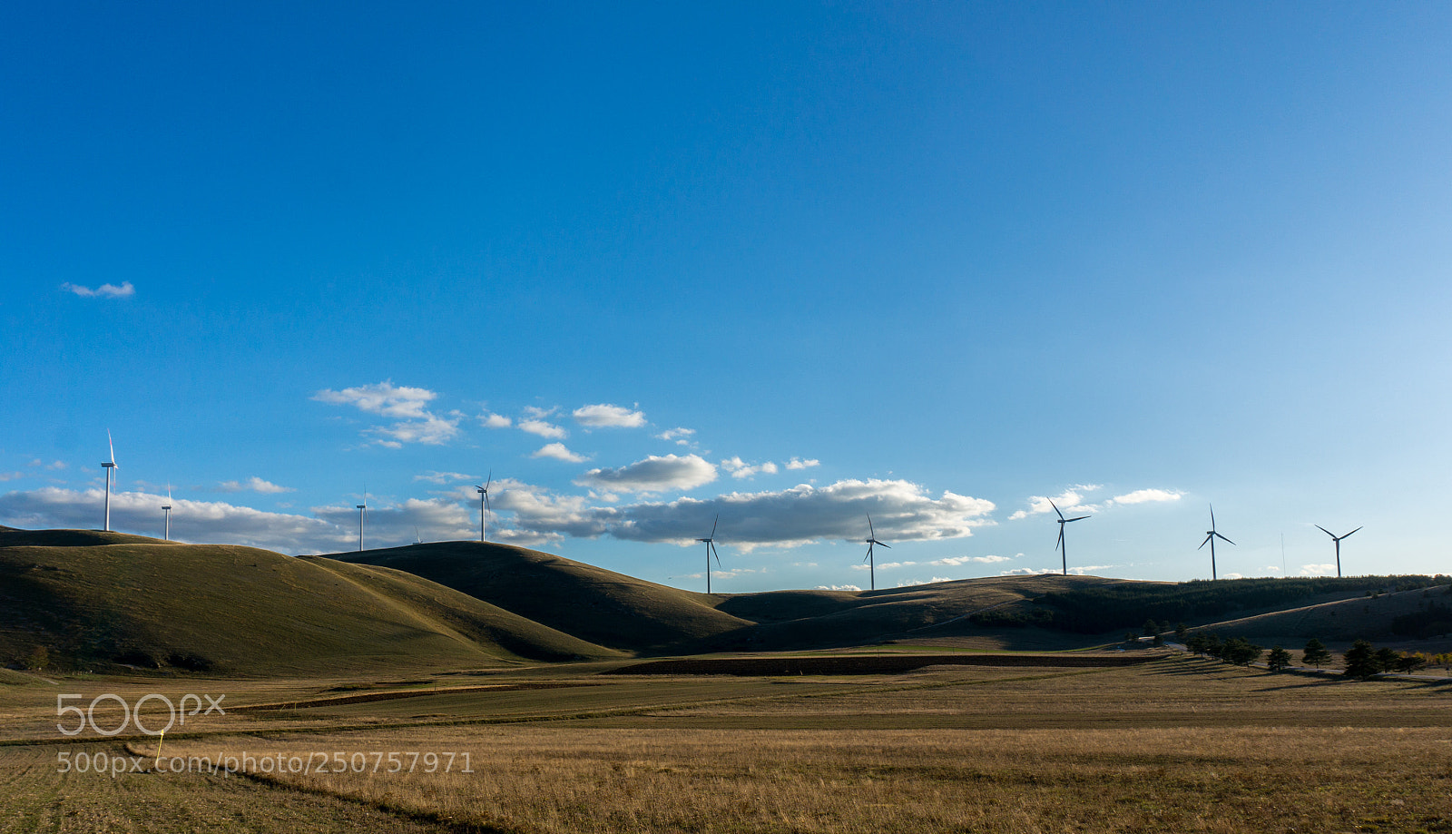 Sony Alpha NEX-6 sample photo. Untitled photography
