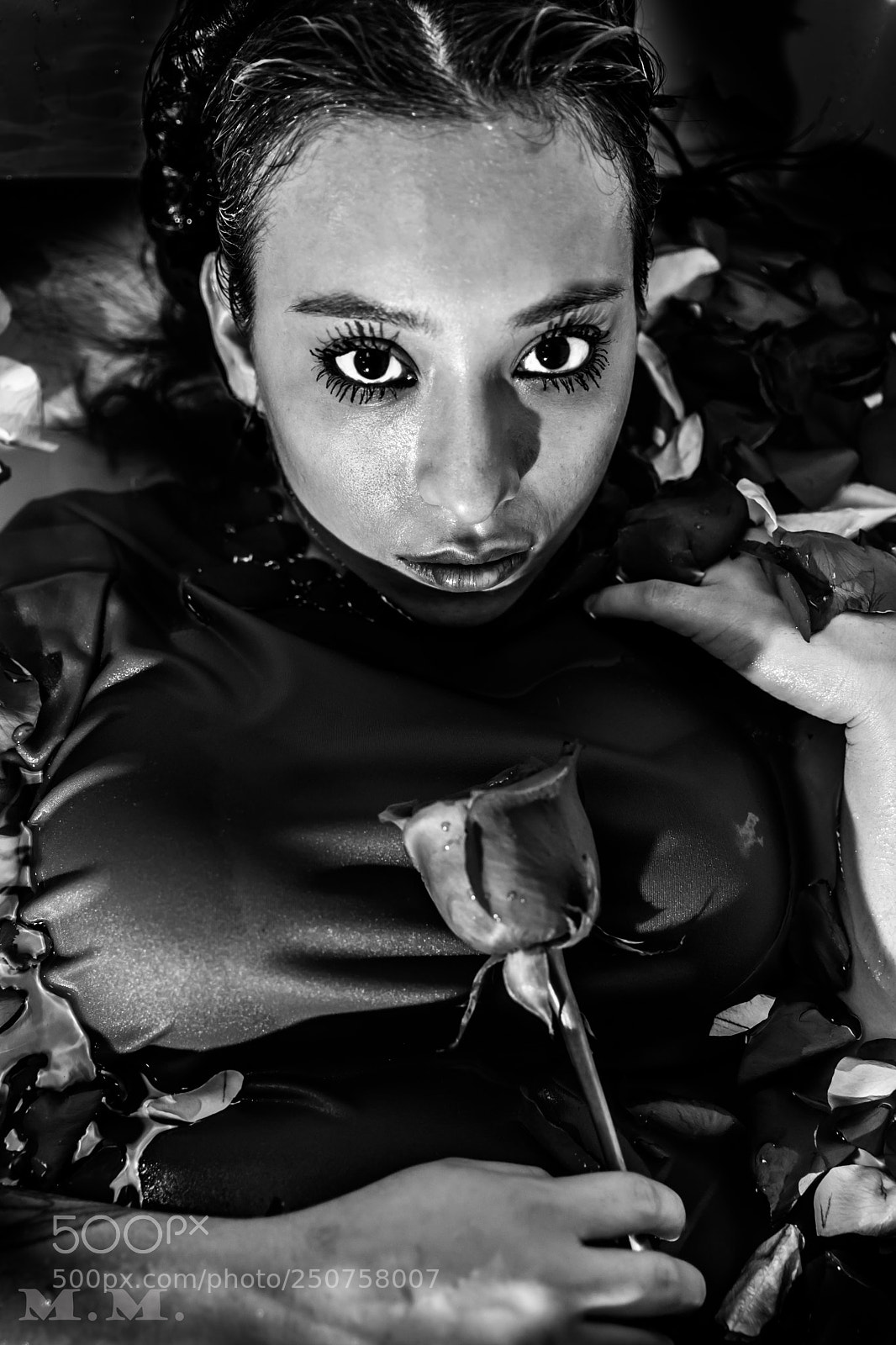 Canon EOS 5D Mark IV sample photo. Edit photography