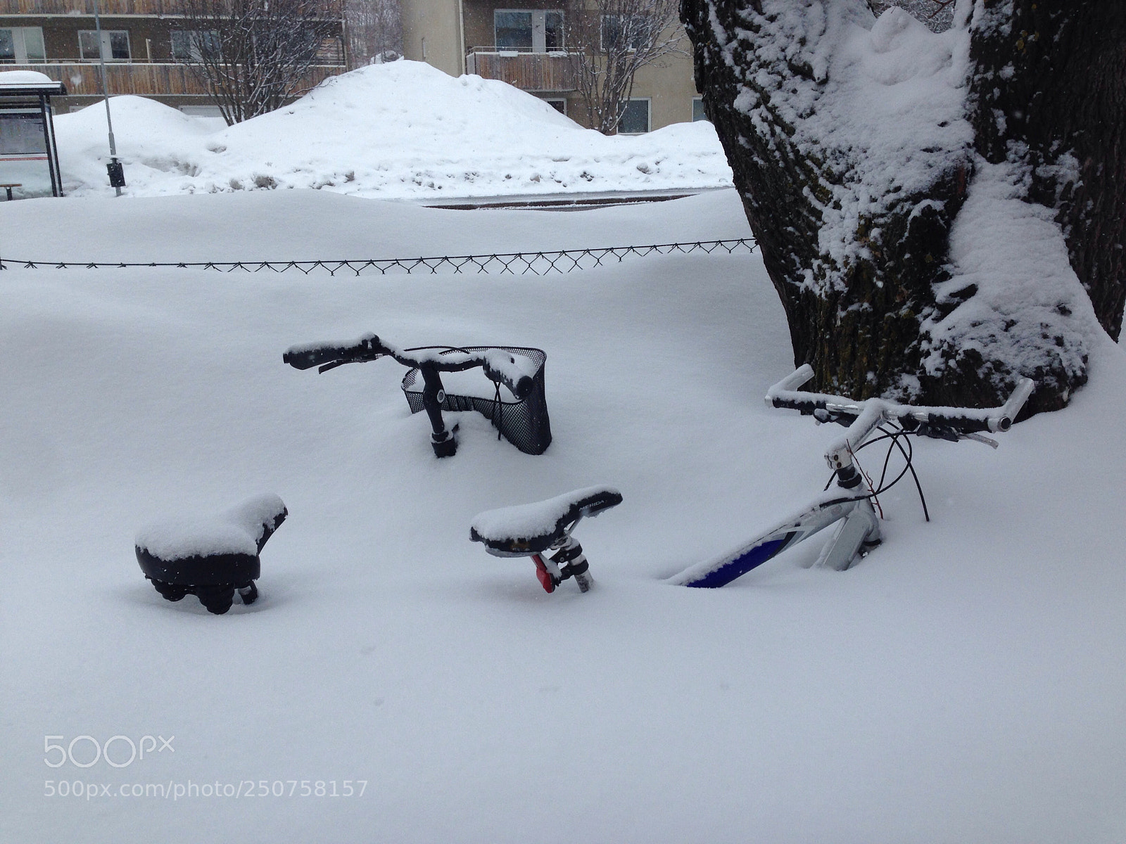 Apple iPhone 5 sample photo. Stuck in the snow photography