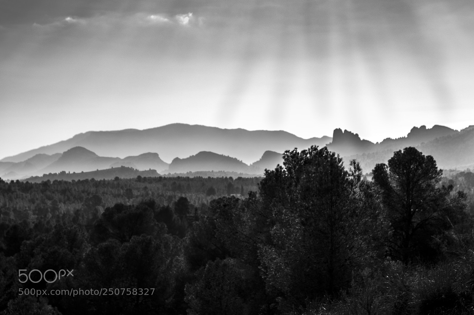 Nikon D5300 sample photo. Horizonte bw  photography
