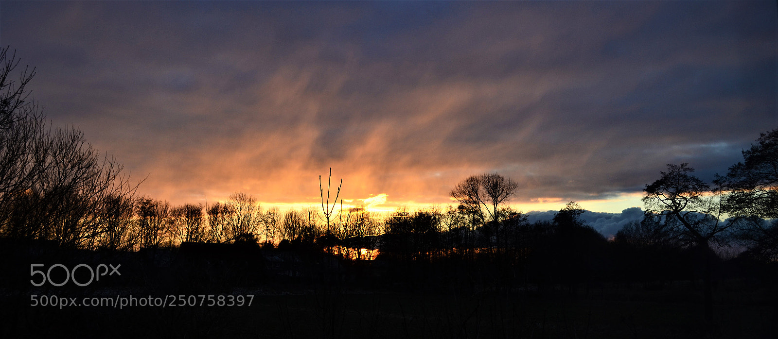 Nikon D5100 sample photo. Evening photography