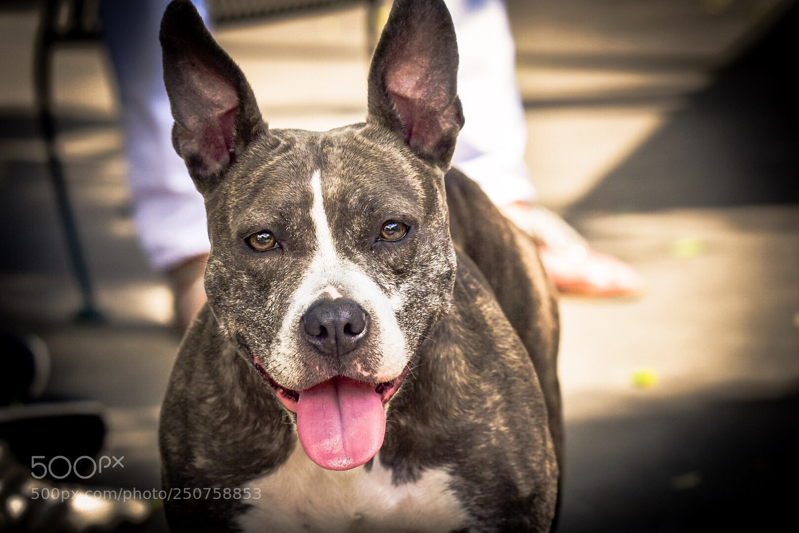 Nikon D7200 sample photo. Leila photography