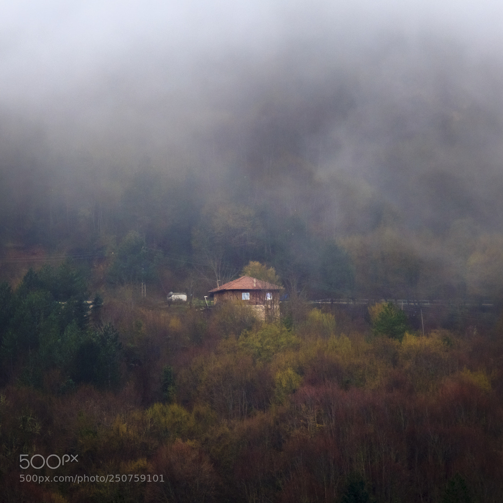 Canon EOS 60D sample photo. Foggy morning photography