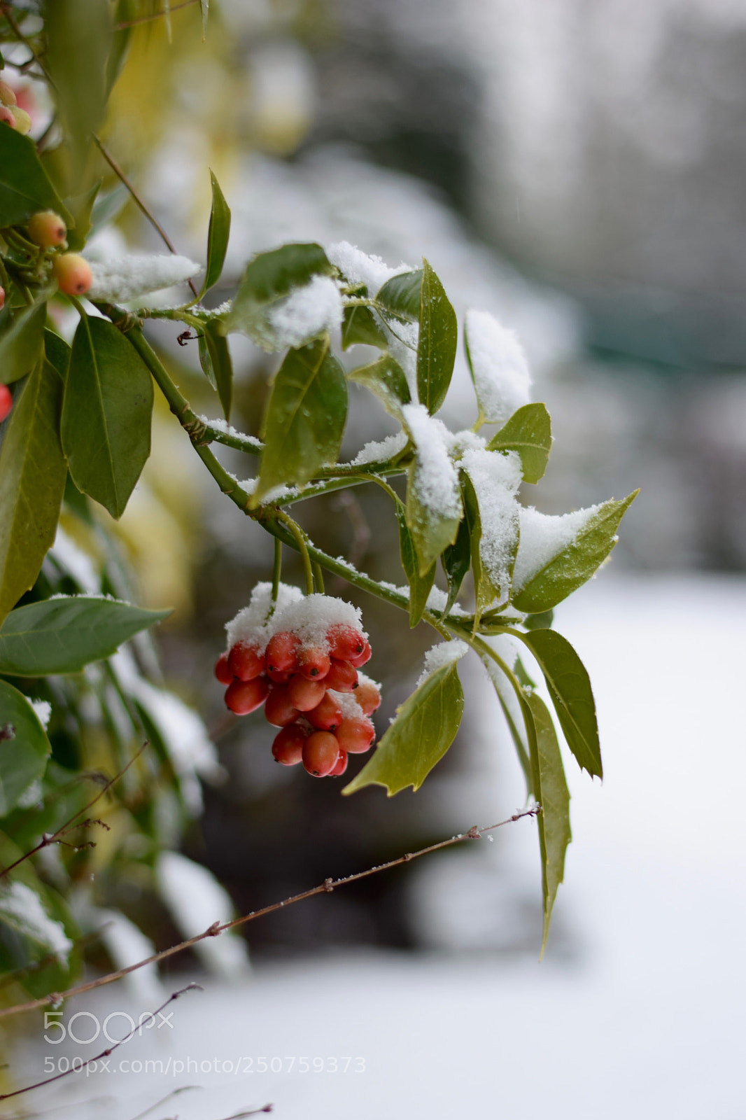 Nikon D3300 sample photo. Untitled photography