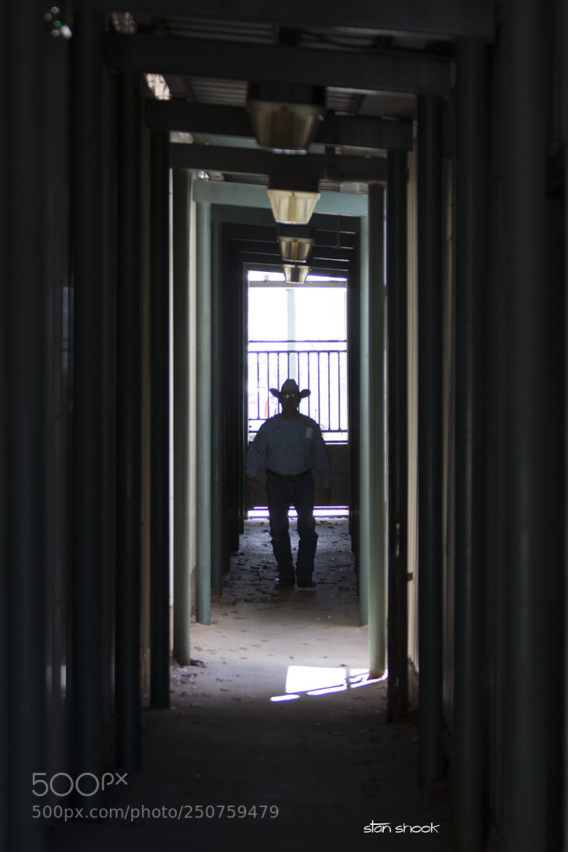 Canon EOS 7D Mark II sample photo. The cowboy was framed photography