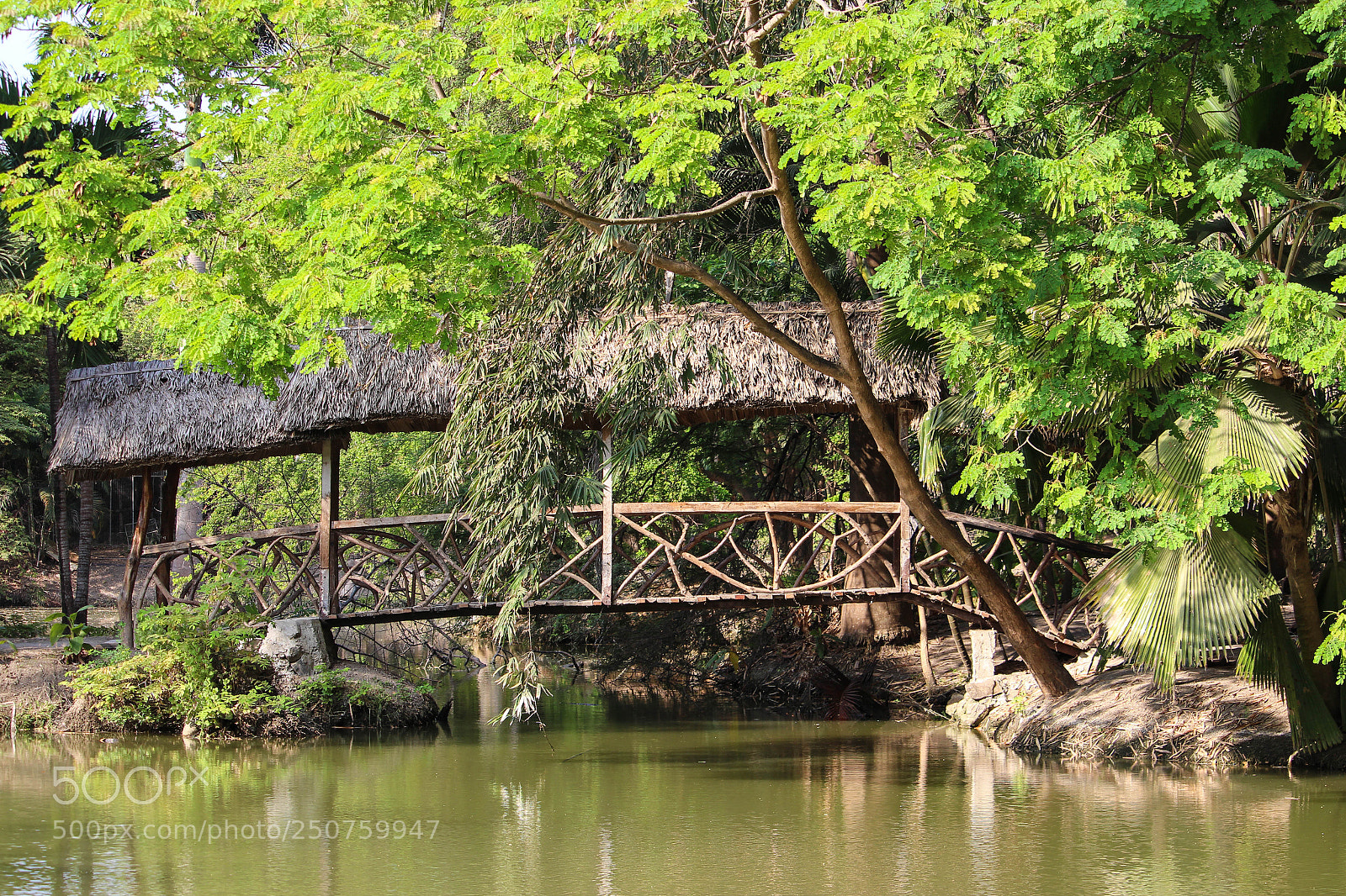 Canon EOS 700D (EOS Rebel T5i / EOS Kiss X7i) sample photo. Sunday photography
