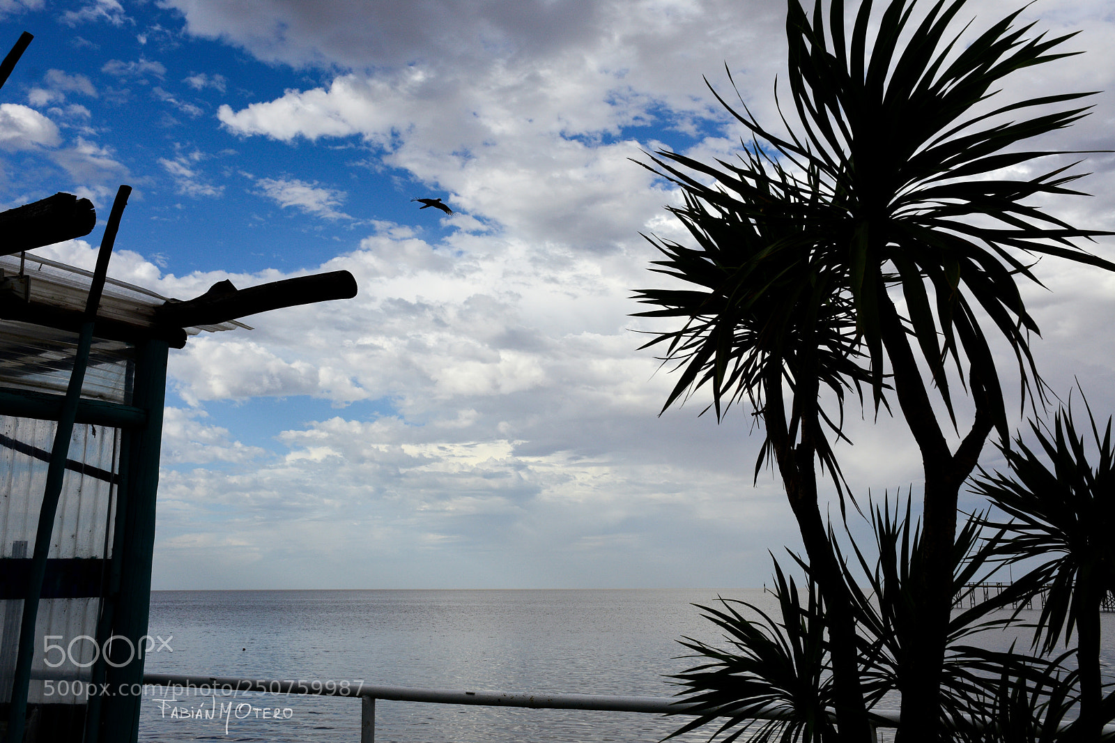 Nikon D7200 sample photo. Puerto de olivos photography