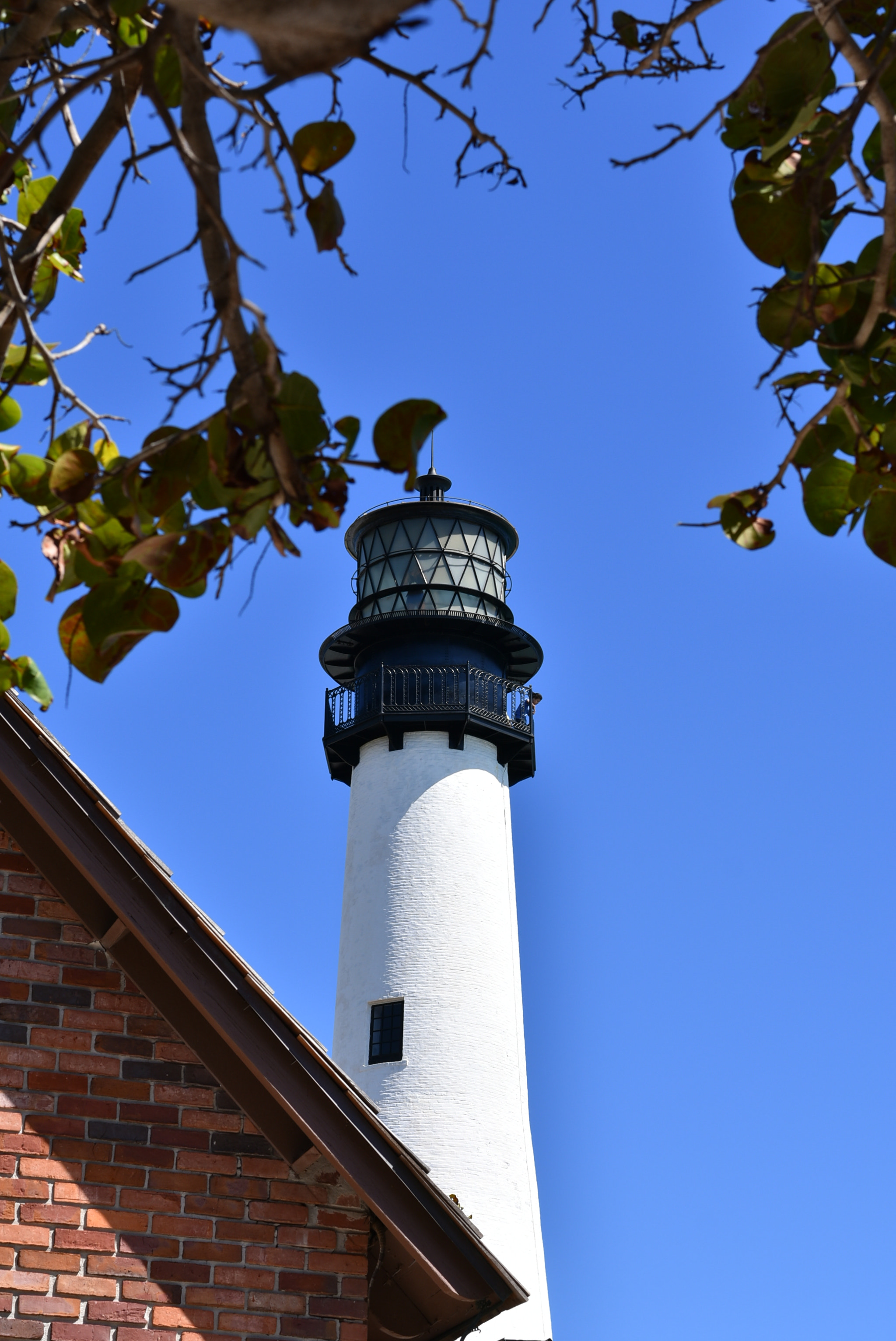 Nikon D3400 + Nikon AF-S Nikkor 50mm F1.8G sample photo. The cape florida light photography