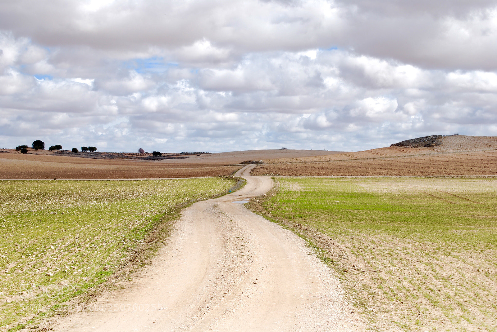Nikon D60 sample photo. Walking photography