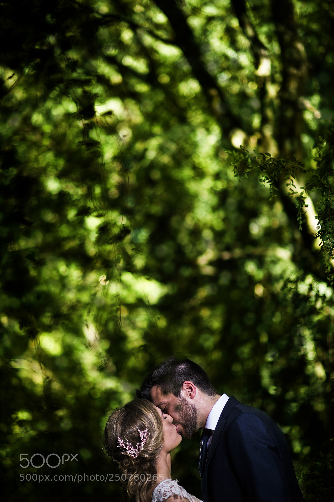Nikon D4 sample photo. ... amor ... photography