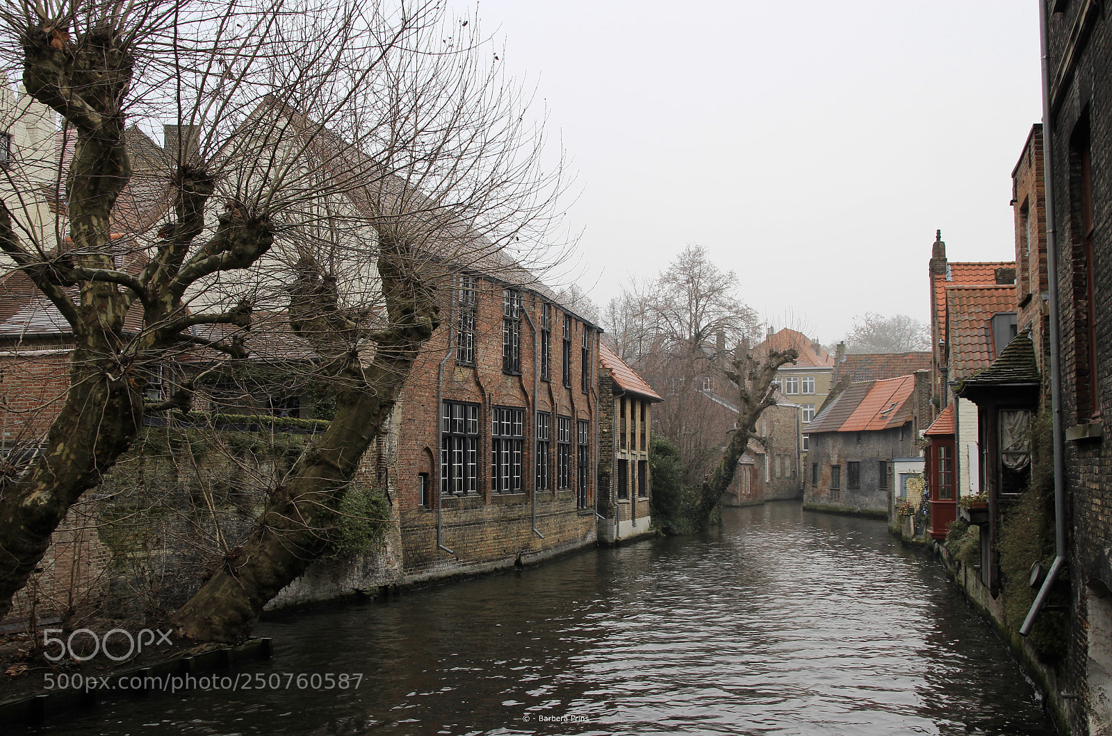 Canon EOS 100D (EOS Rebel SL1 / EOS Kiss X7) sample photo. Brugge photography