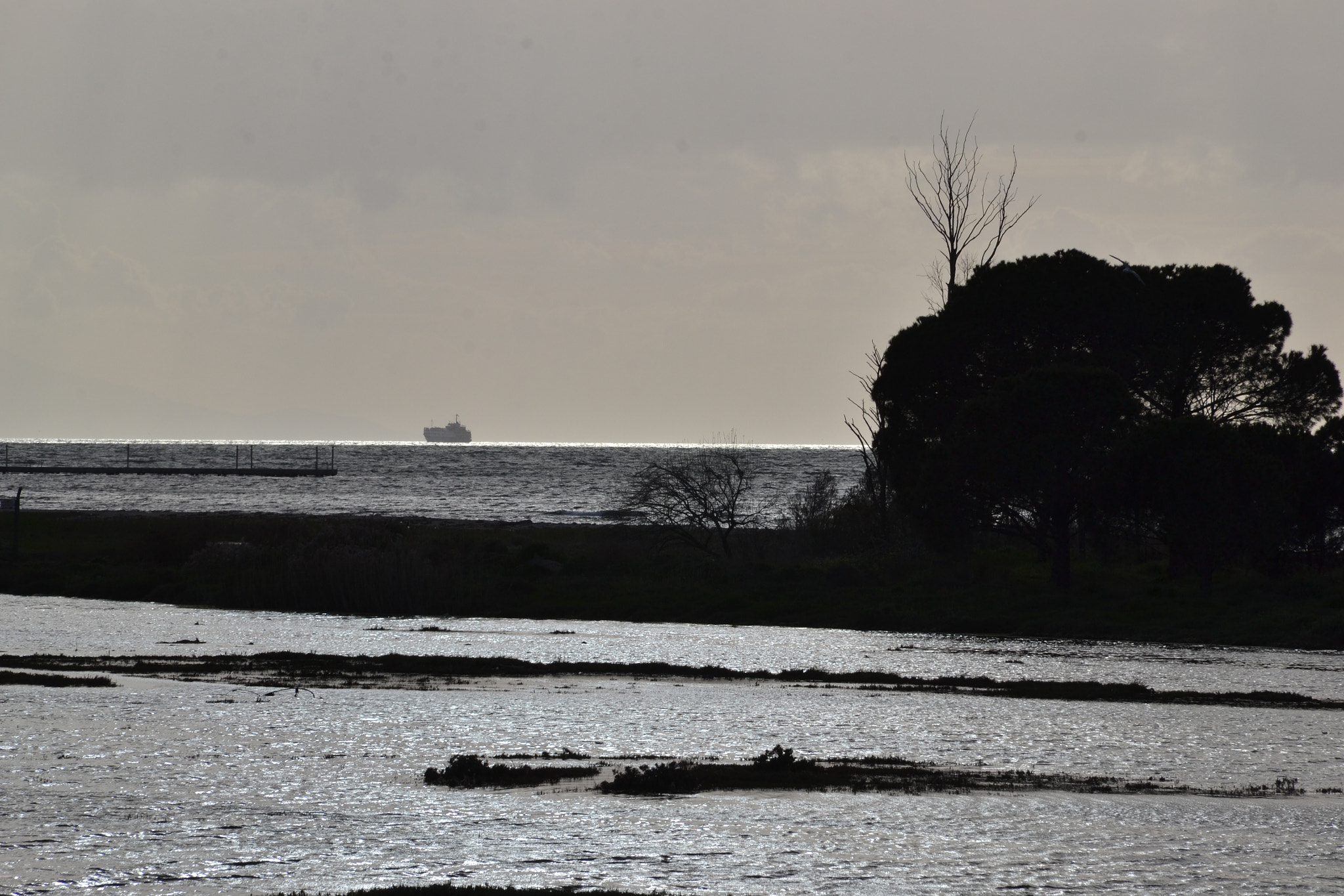 Nikon D3100 sample photo. Ship on the horizon photography