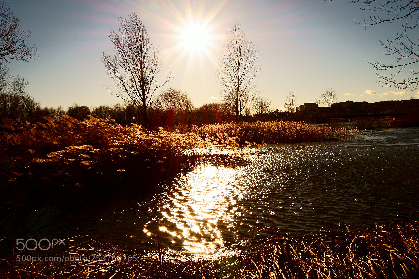 Sony SLT-A58 sample photo. The river. photography