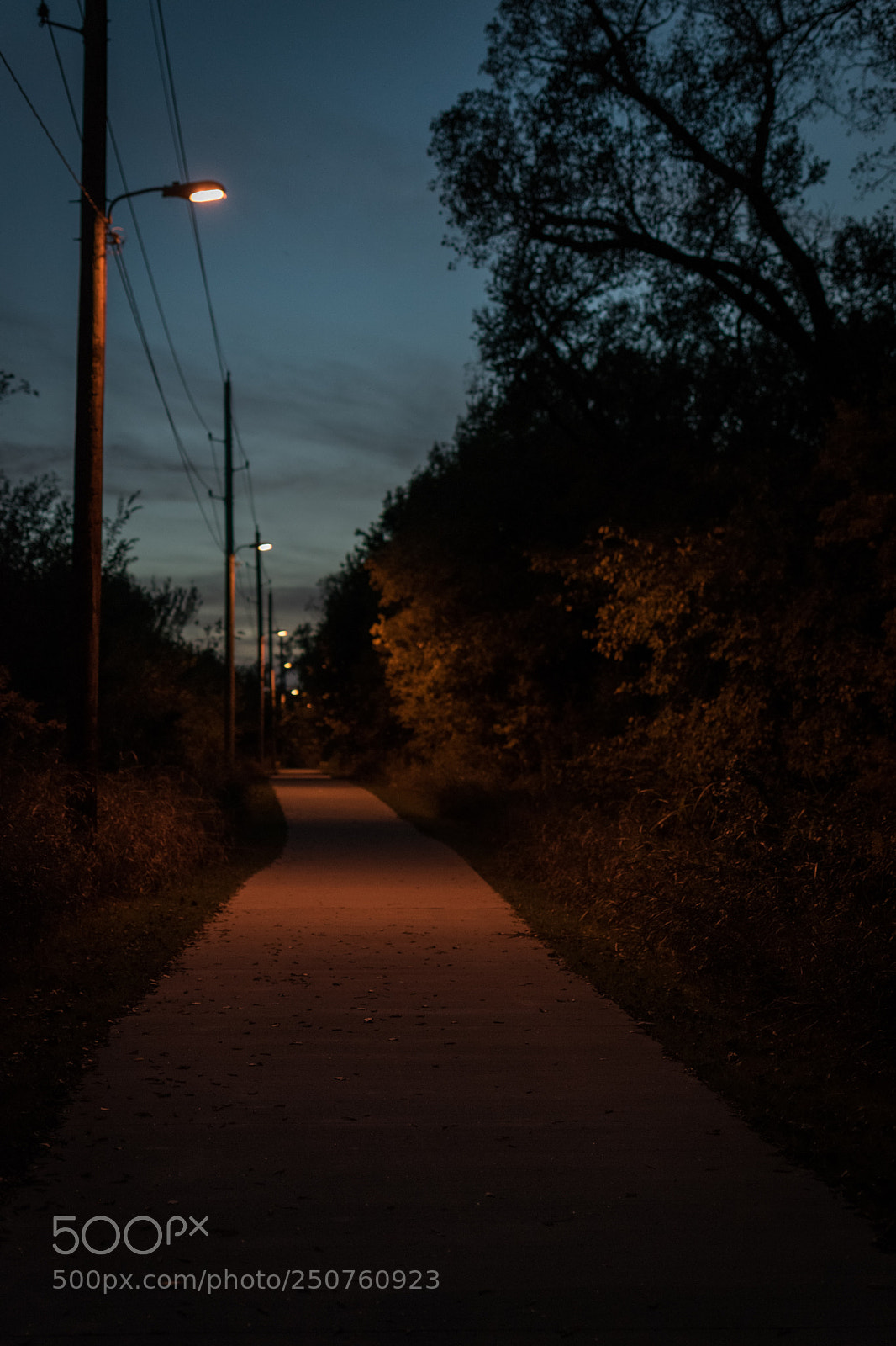 Nikon D3300 sample photo. Wayward path photography