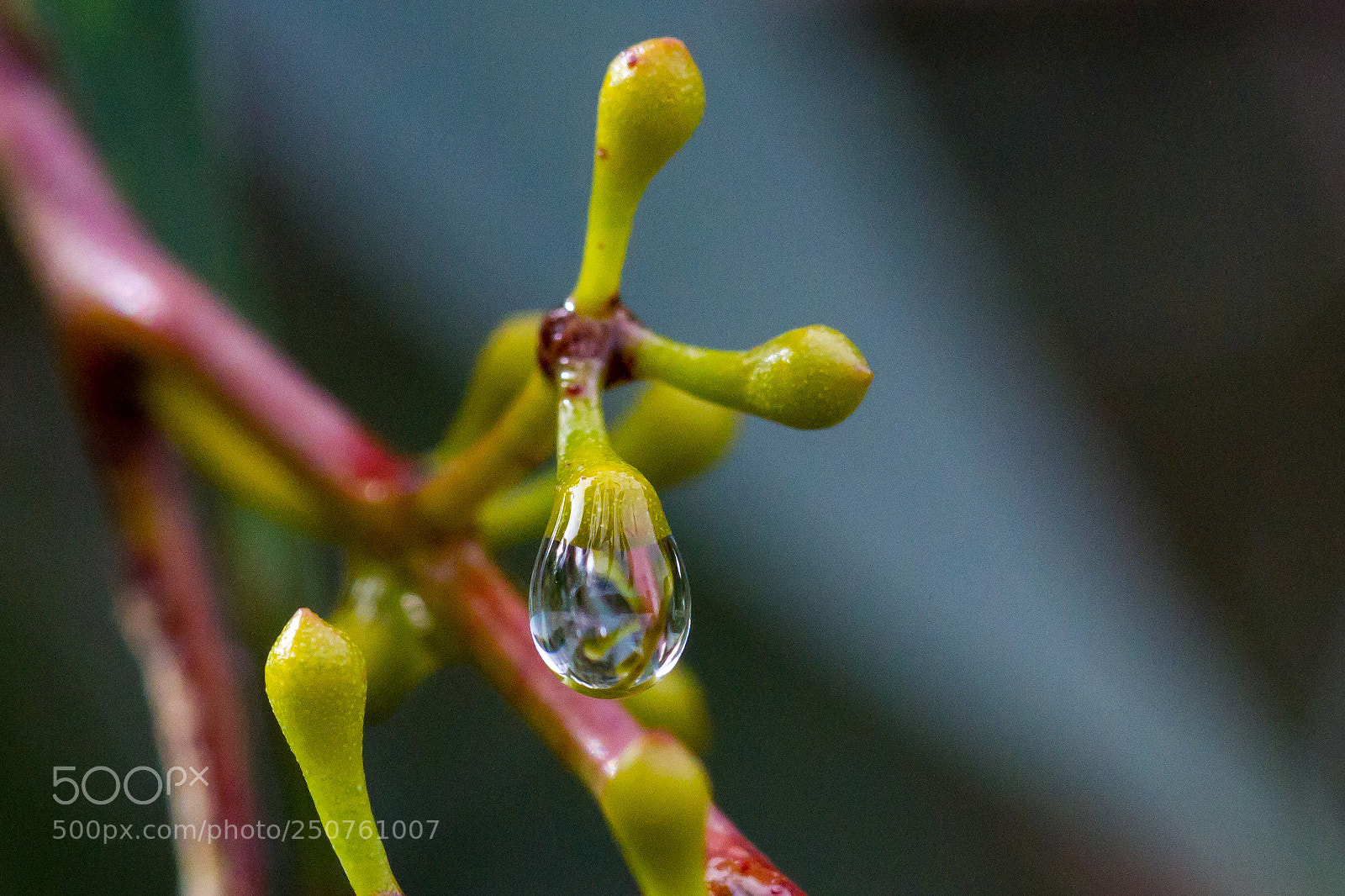 Canon EOS 7D sample photo. Water drop photography