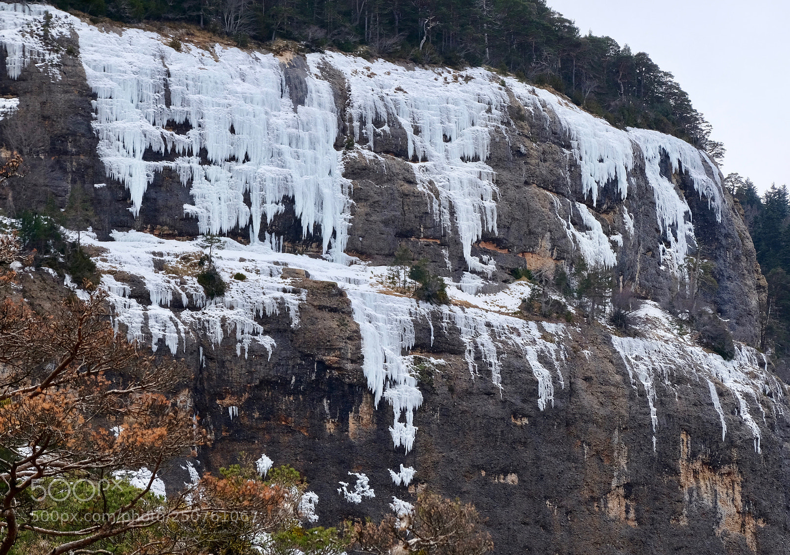 Fujifilm X-T10 sample photo. The icing on the photography