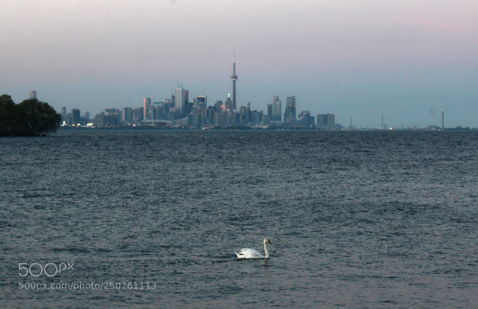 Canon EOS 1200D (EOS Rebel T5 / EOS Kiss X70 / EOS Hi) sample photo. City swan photography