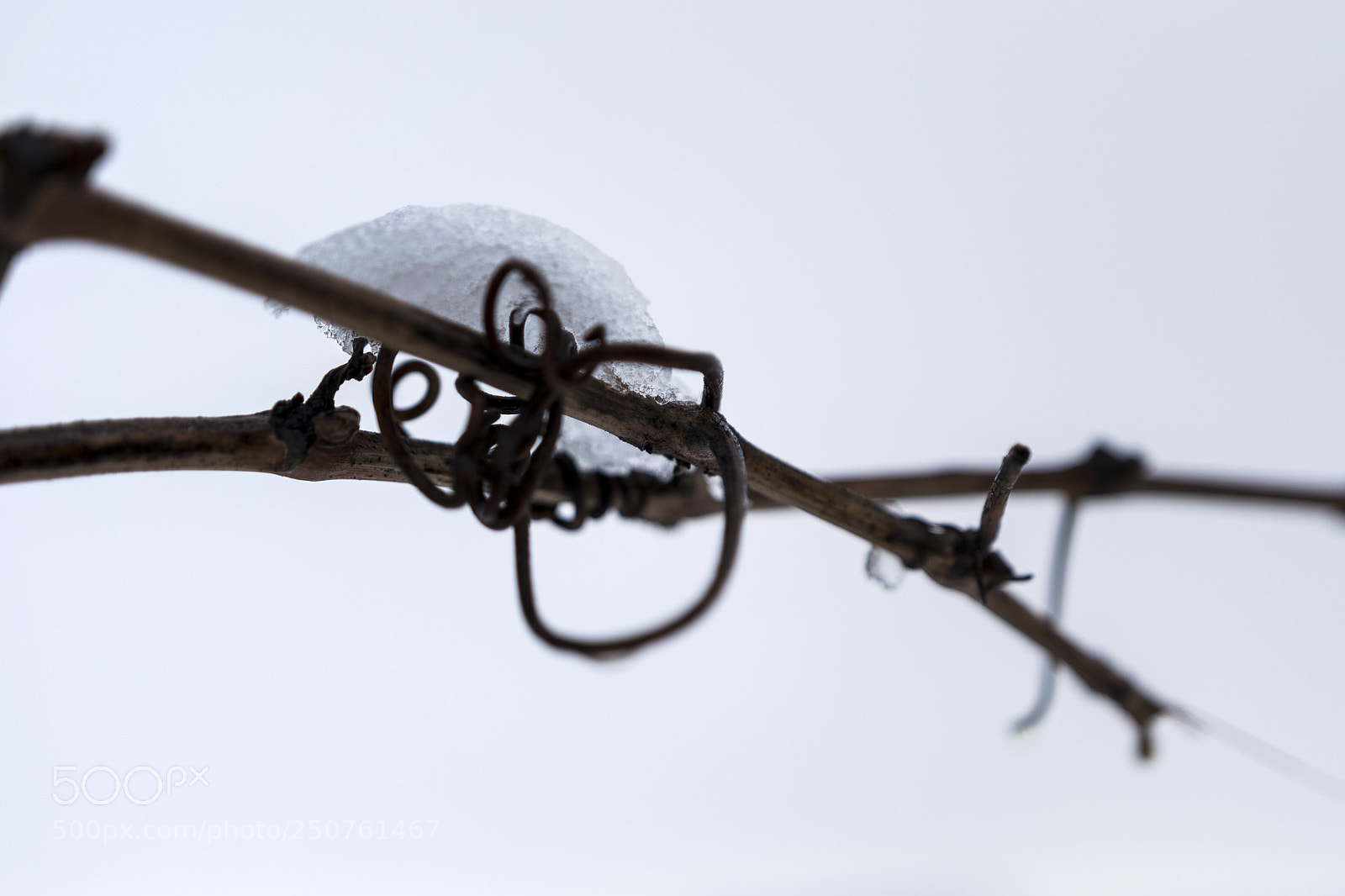 Nikon D5300 sample photo. Vid photography