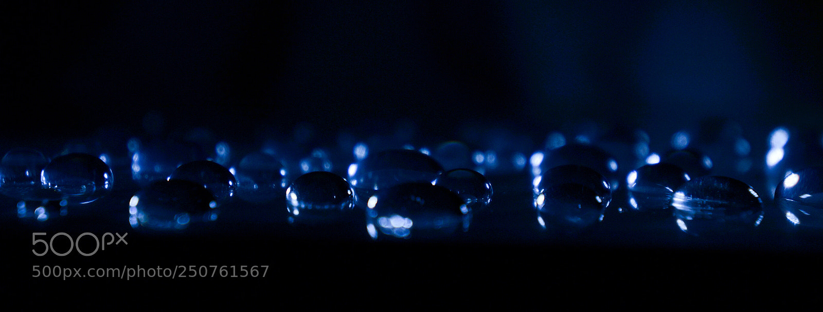 Sony Alpha a3000 sample photo. Untitled photography