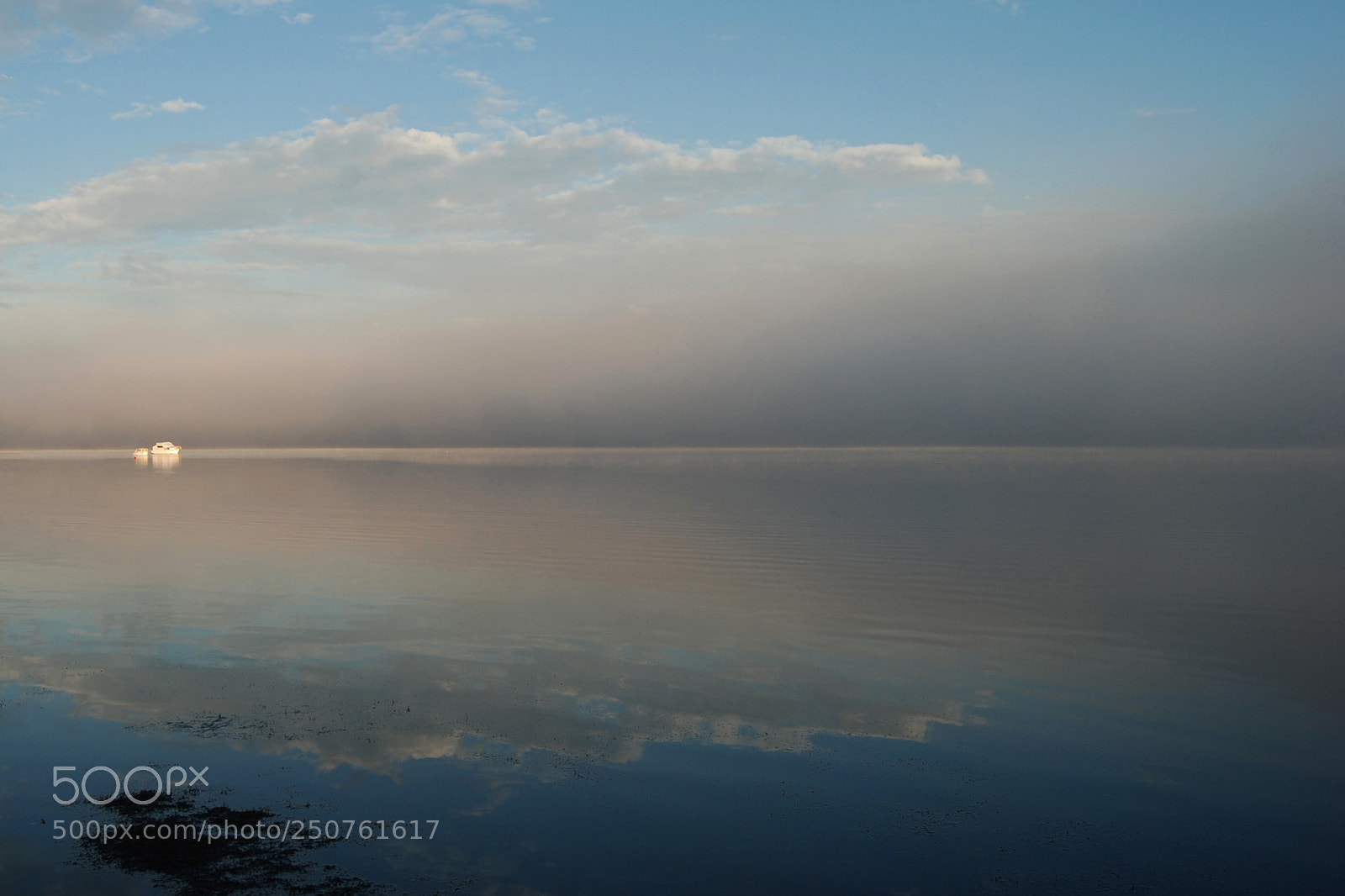Nikon D80 sample photo. Fog reflected 2 photography