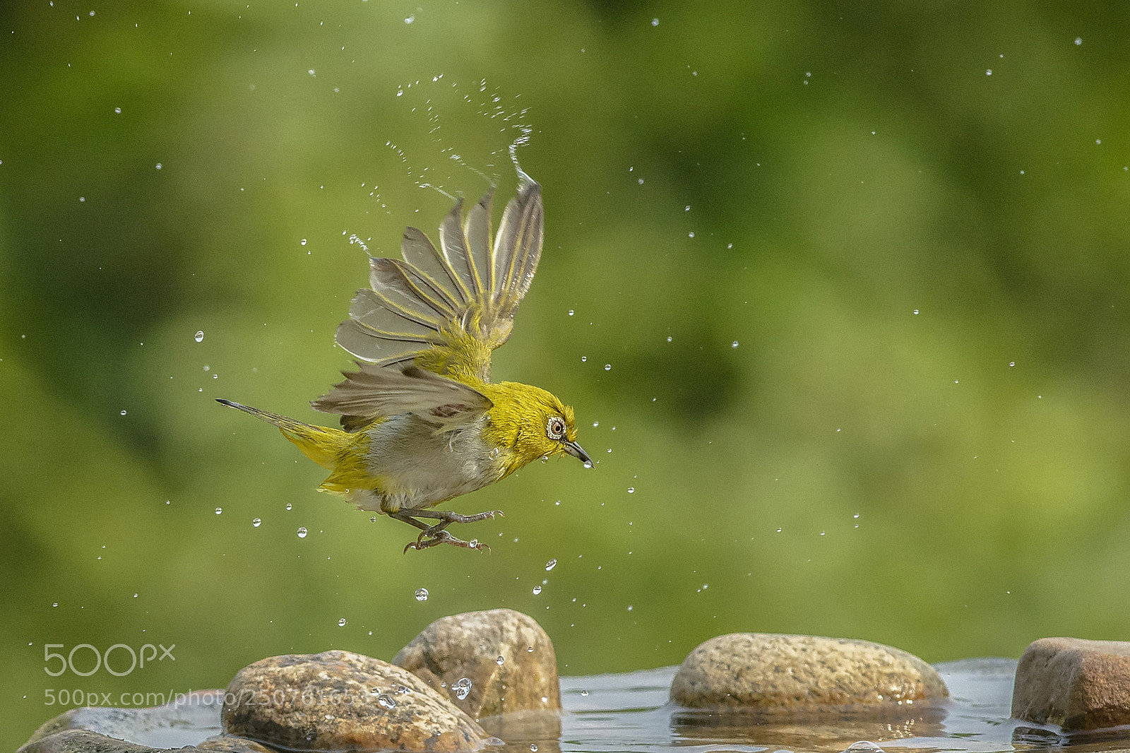Nikon D7100 sample photo. Refresh photography