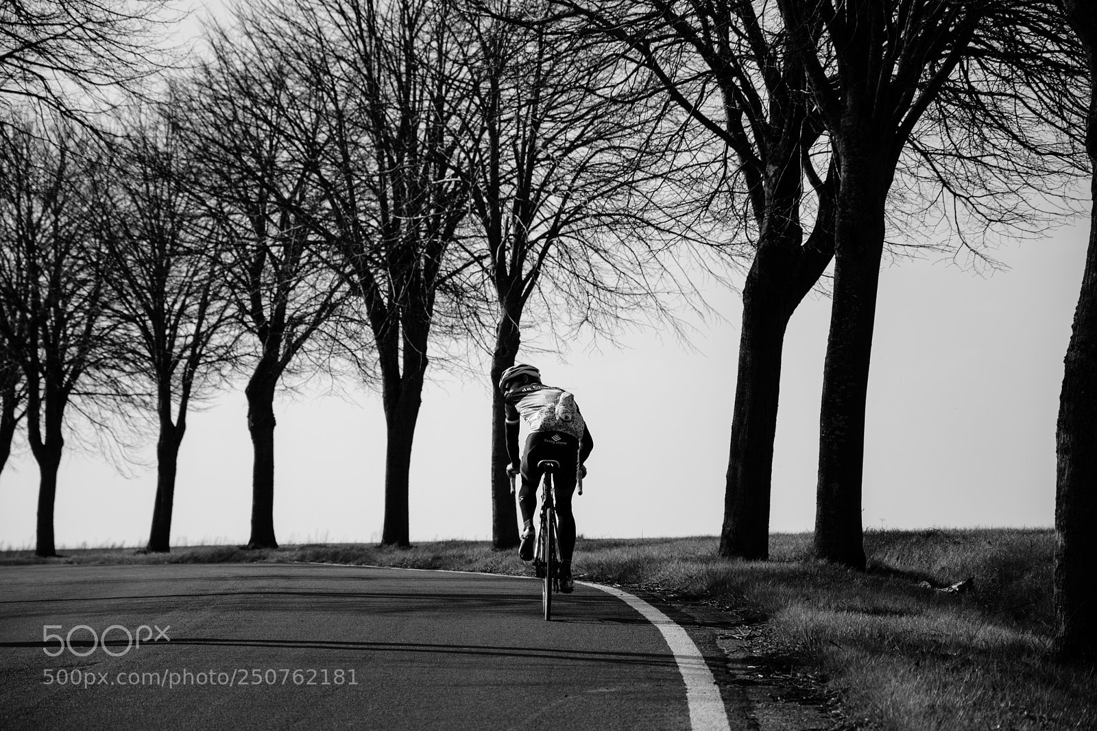 Nikon D5600 sample photo. Cycling photography