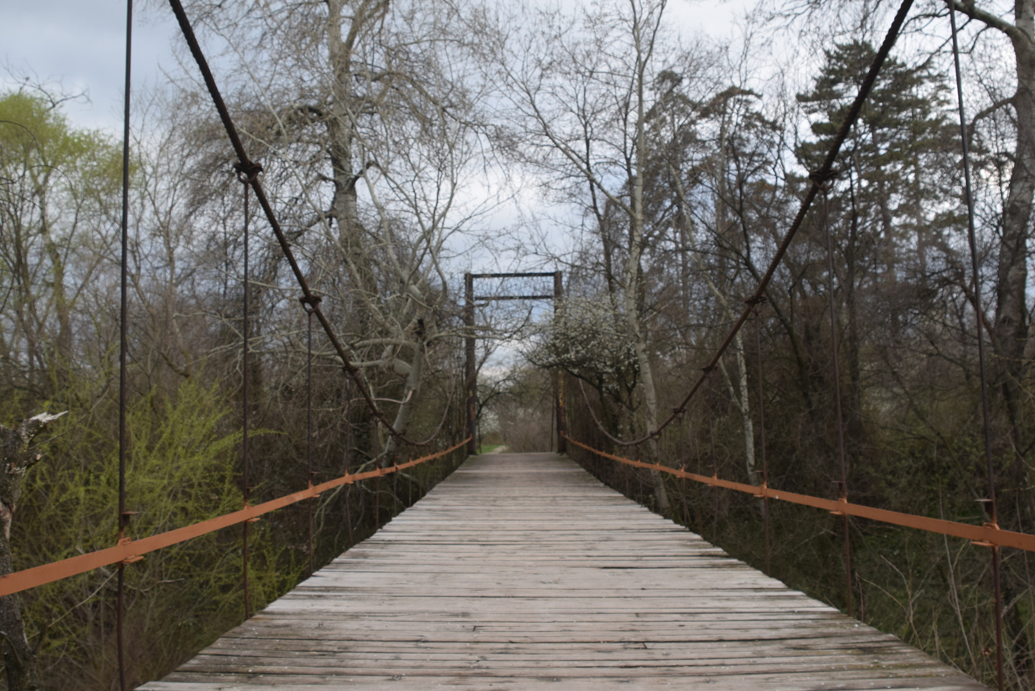 Nikon D3300 sample photo. Maina bridge photography