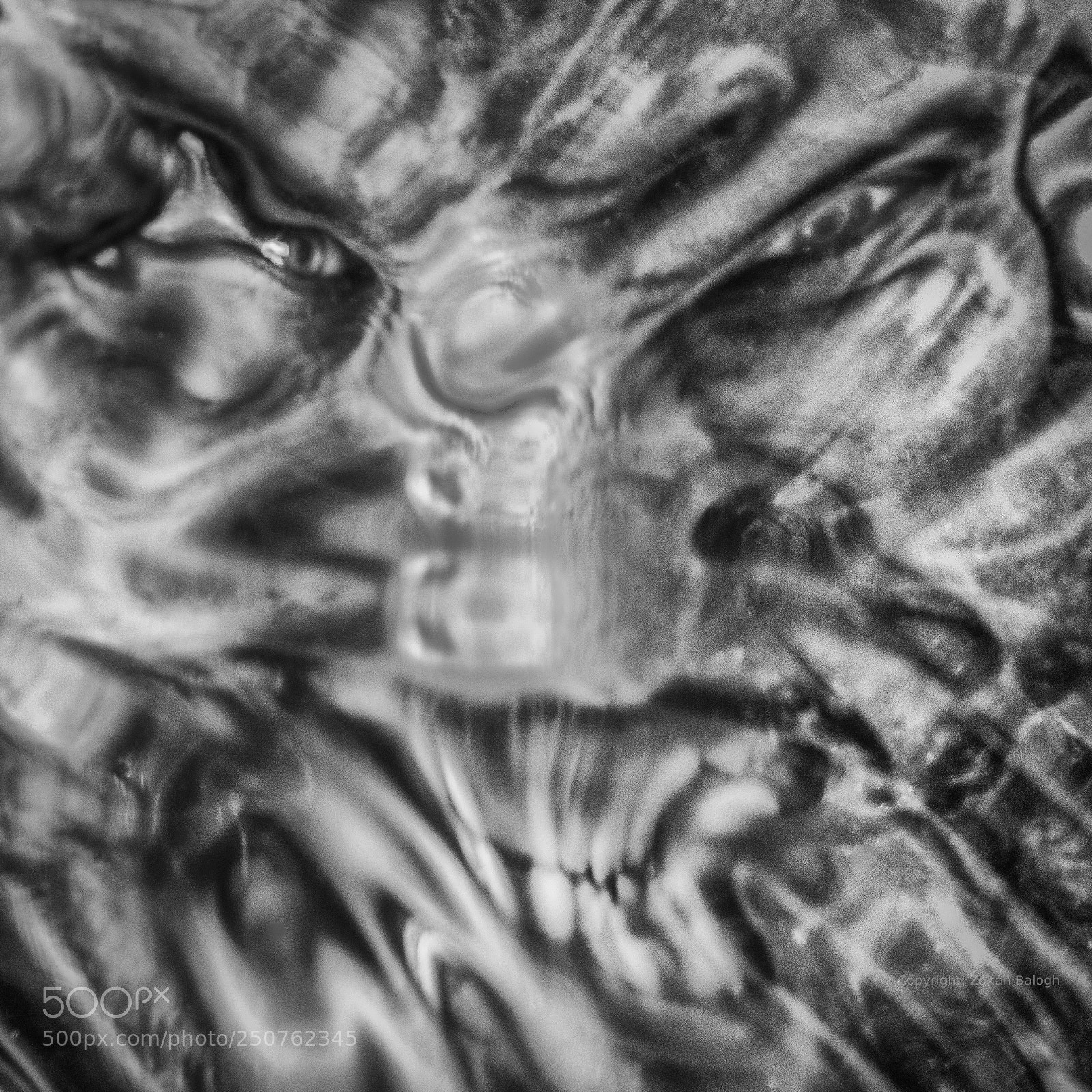 Nikon D800 sample photo. The devil photography