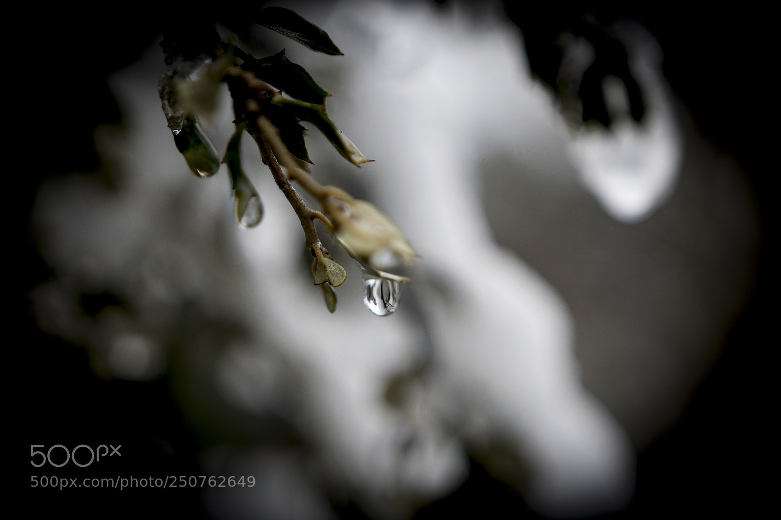 Nikon D5300 sample photo. Gota photography