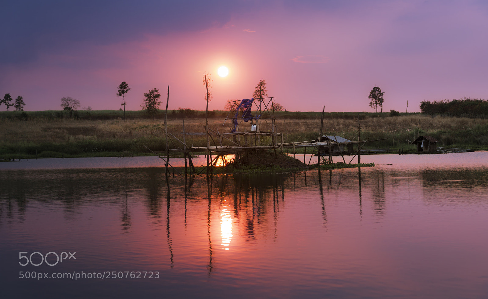 Sony a6000 sample photo. Lam pao pink photography